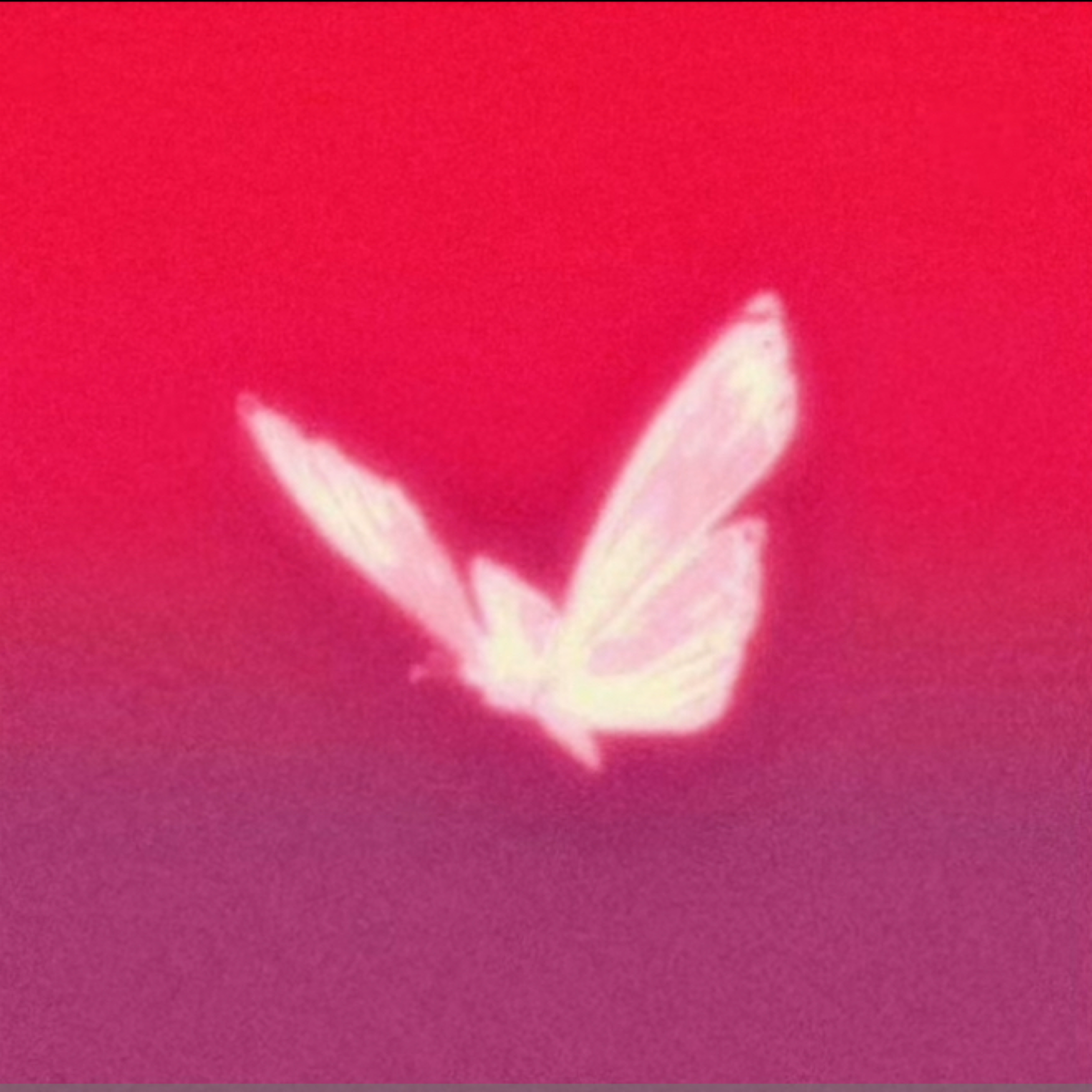 Heart Broken (Anniversary) artwork