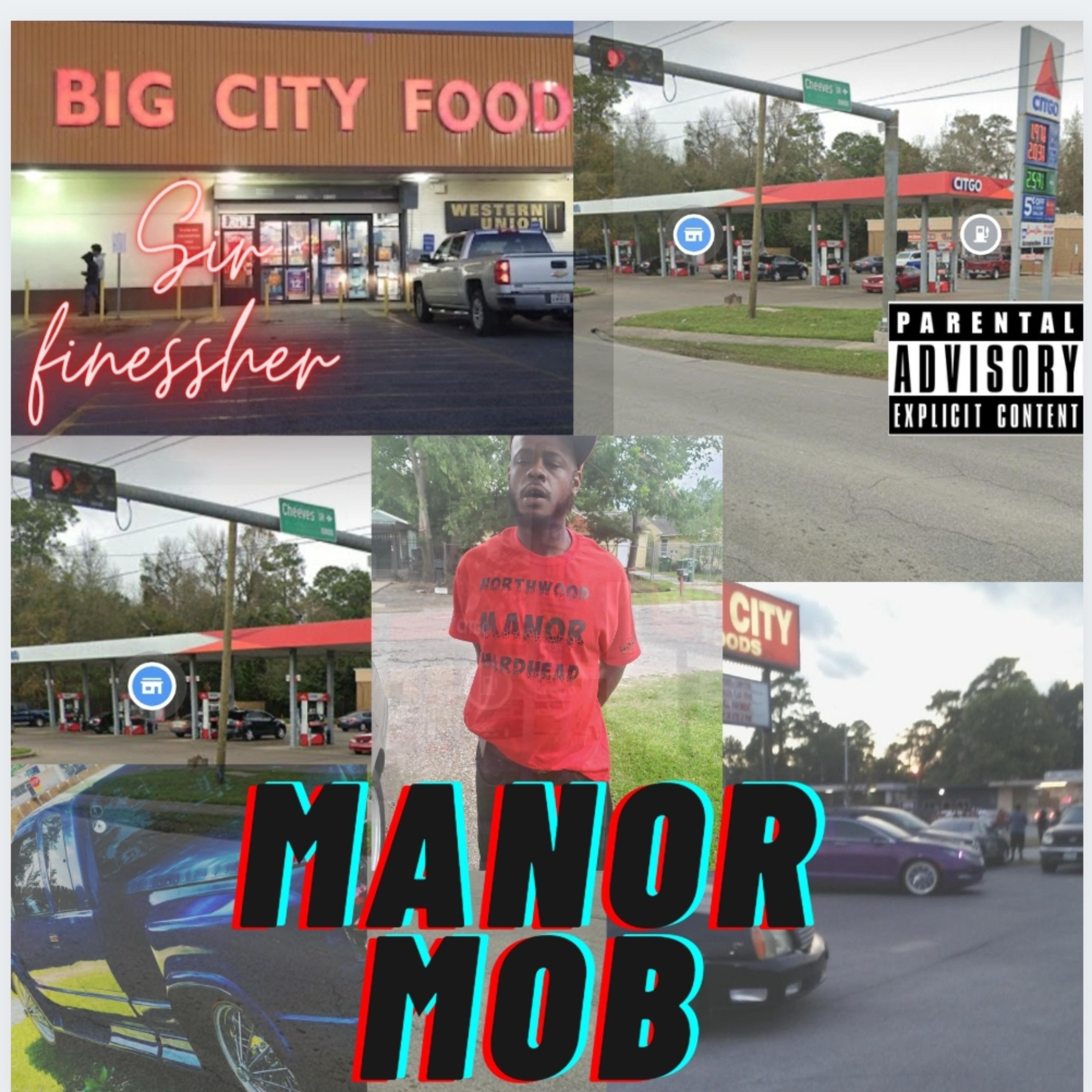 Manor Mob artwork