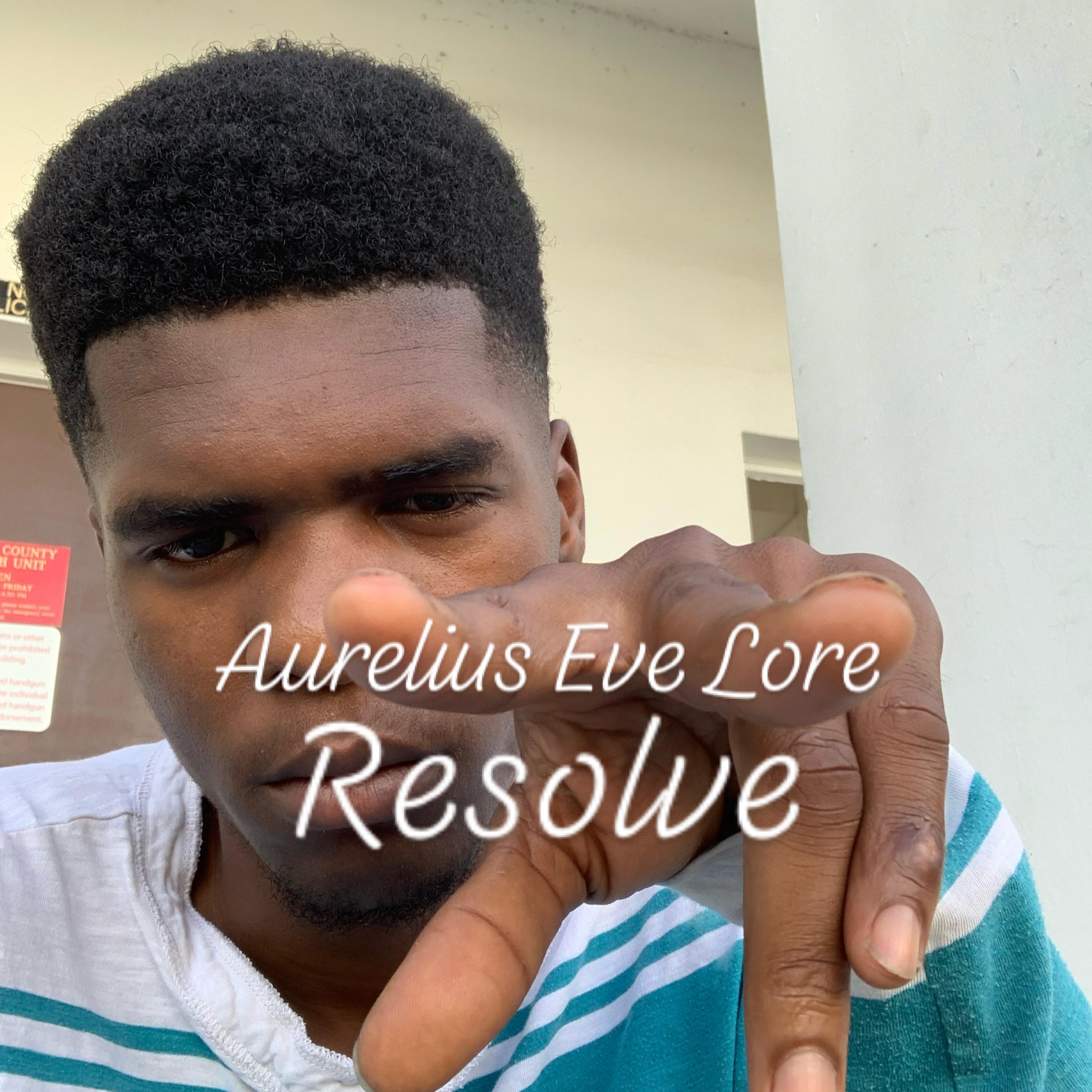 Resolve artwork