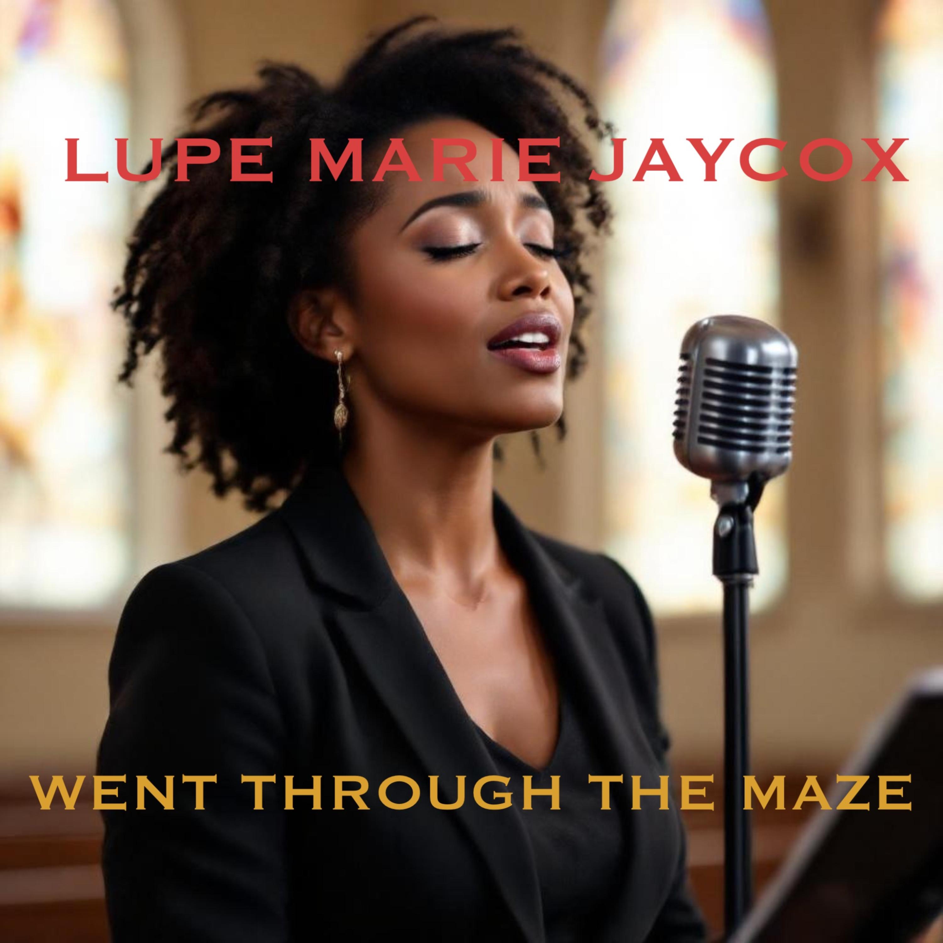 Went Through The Maze artwork