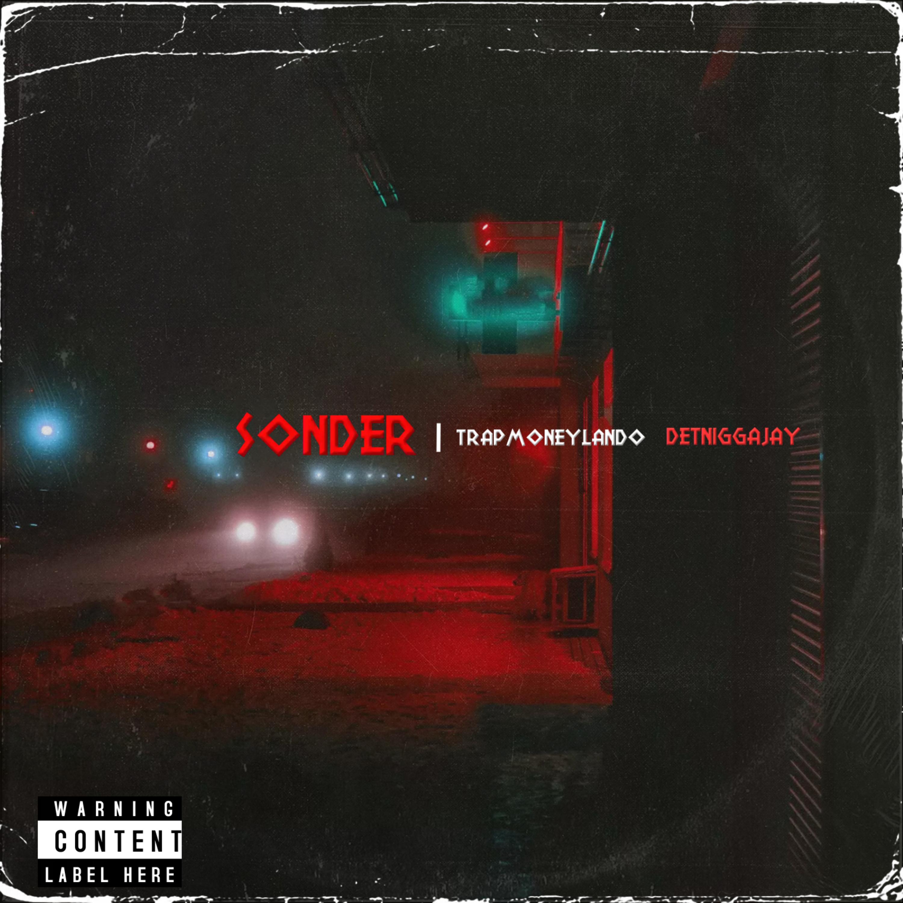 Sonder artwork