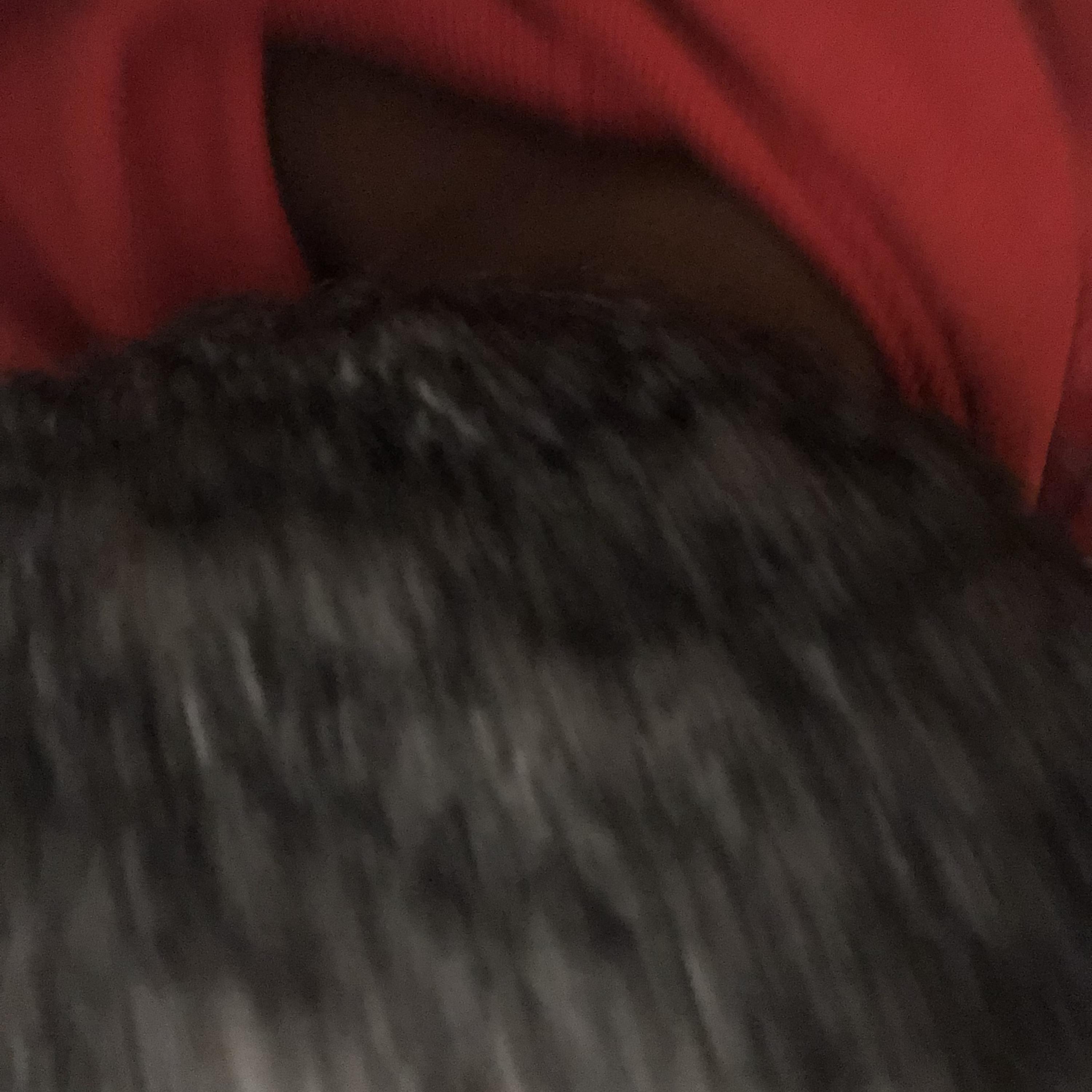 My Back artwork