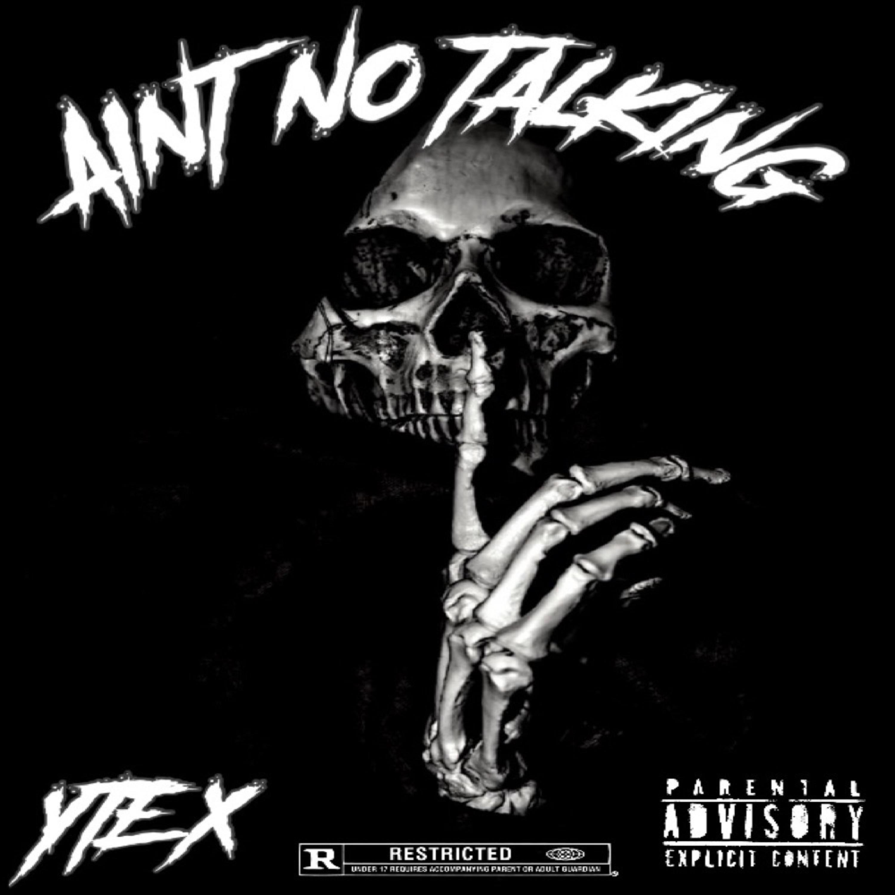 AINT NO TALKING artwork