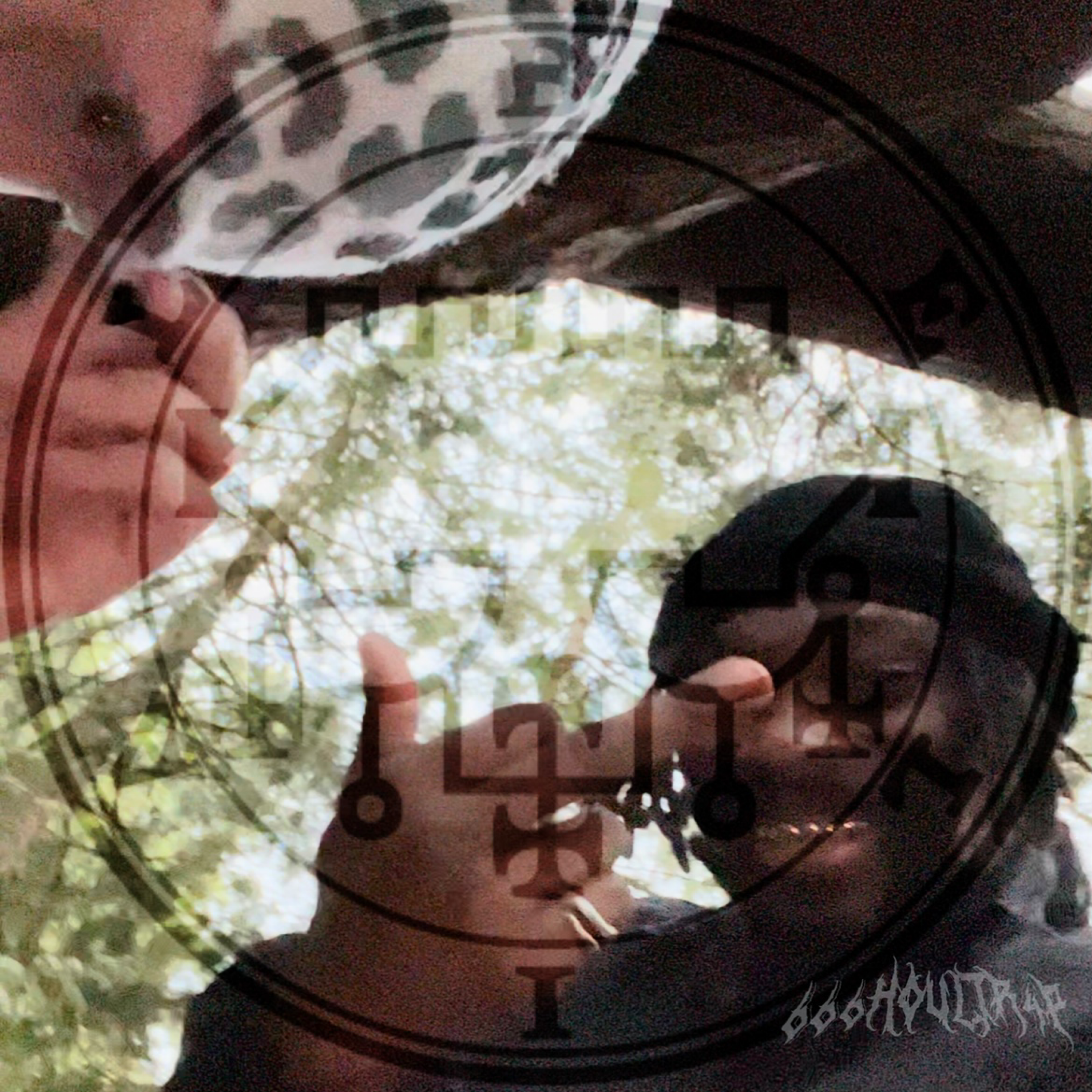 Molly Party! artwork