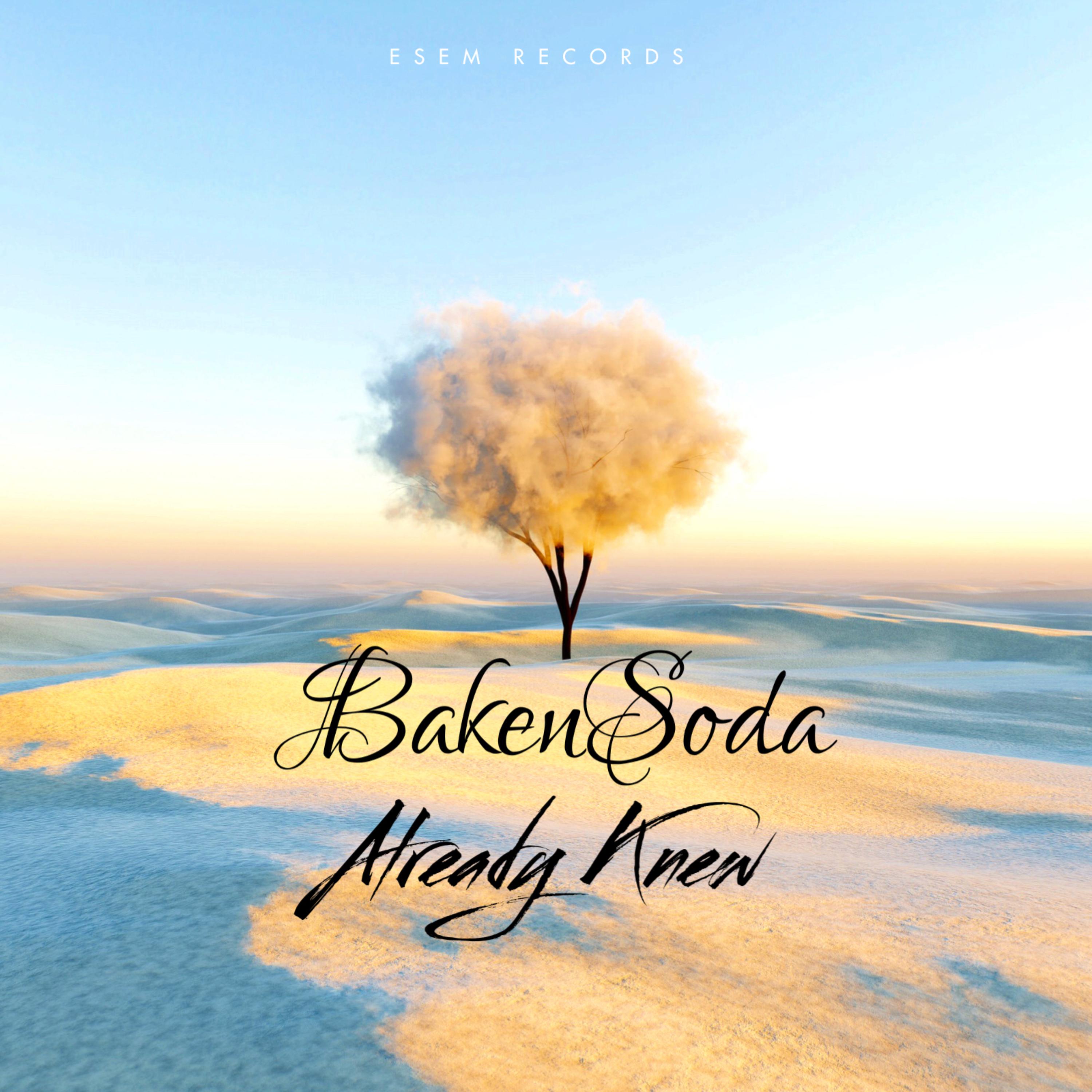Already Knew artwork