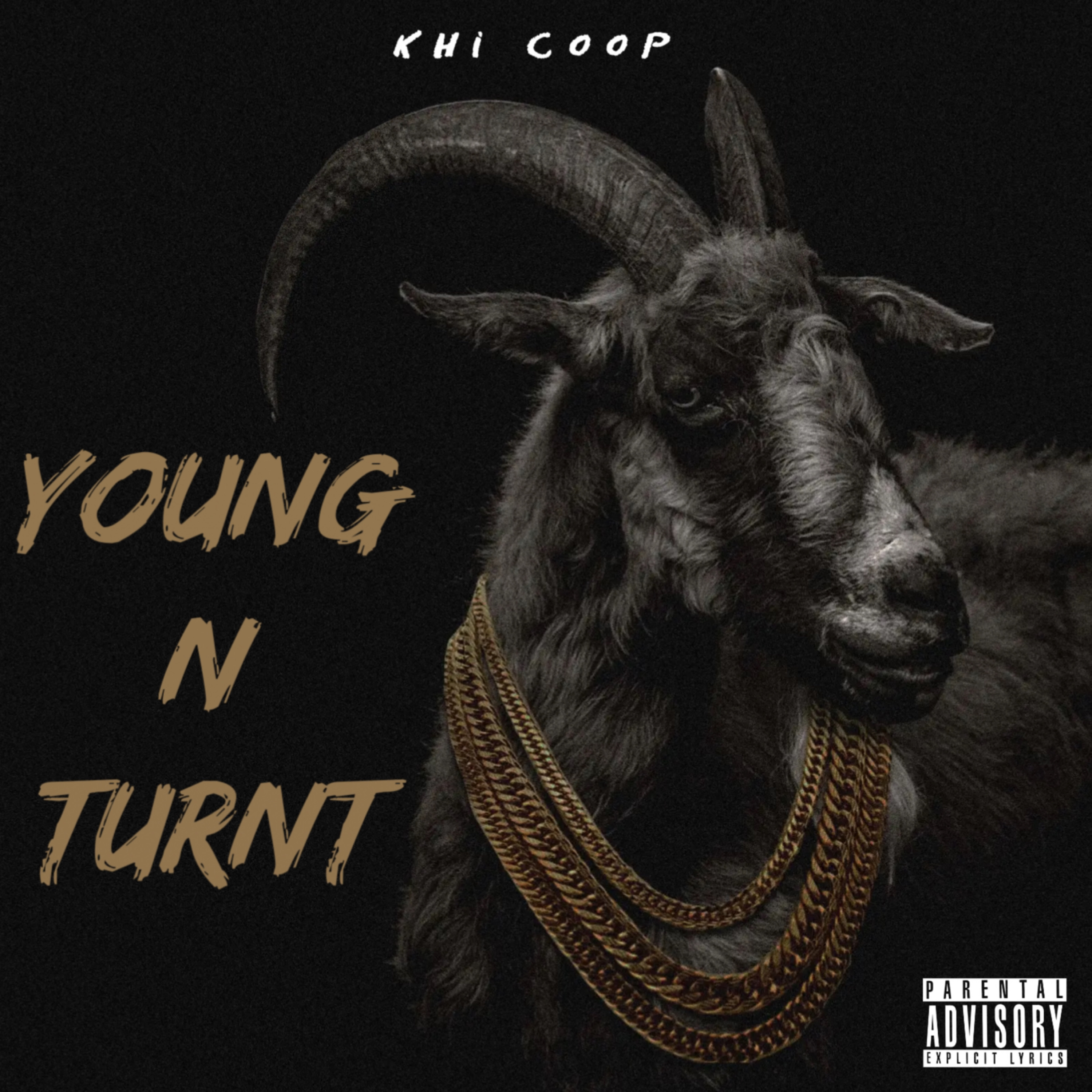 Young N Turnt Freestyle artwork