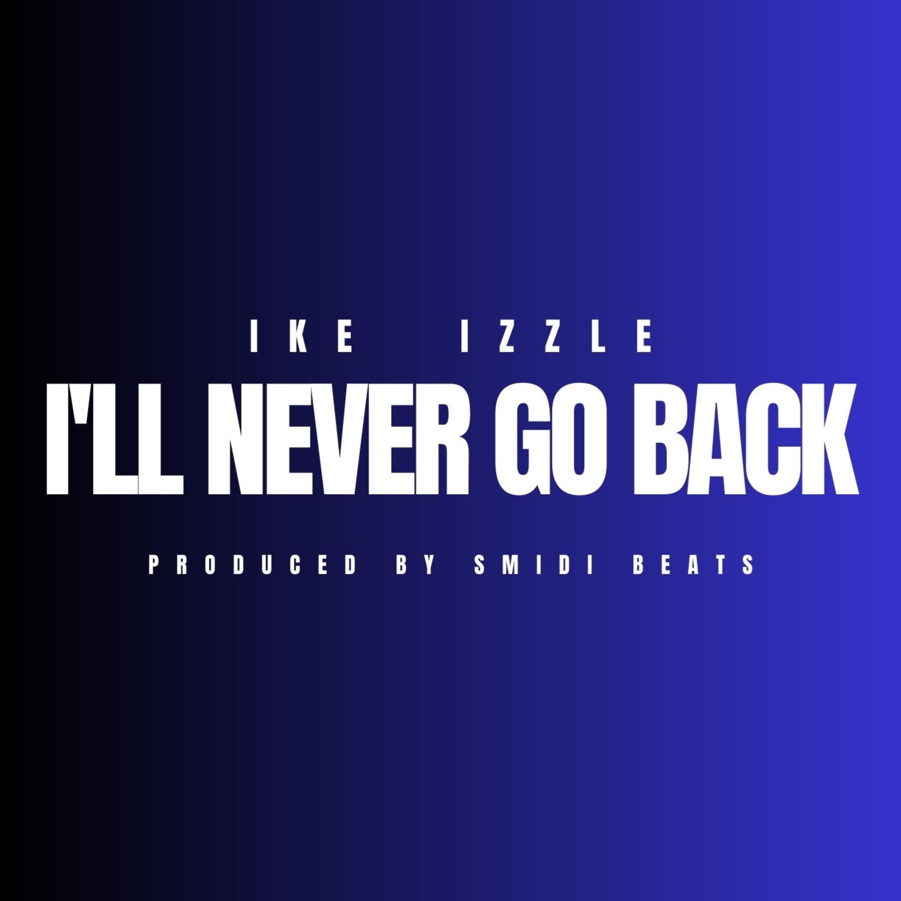 I'll Never Go Back artwork