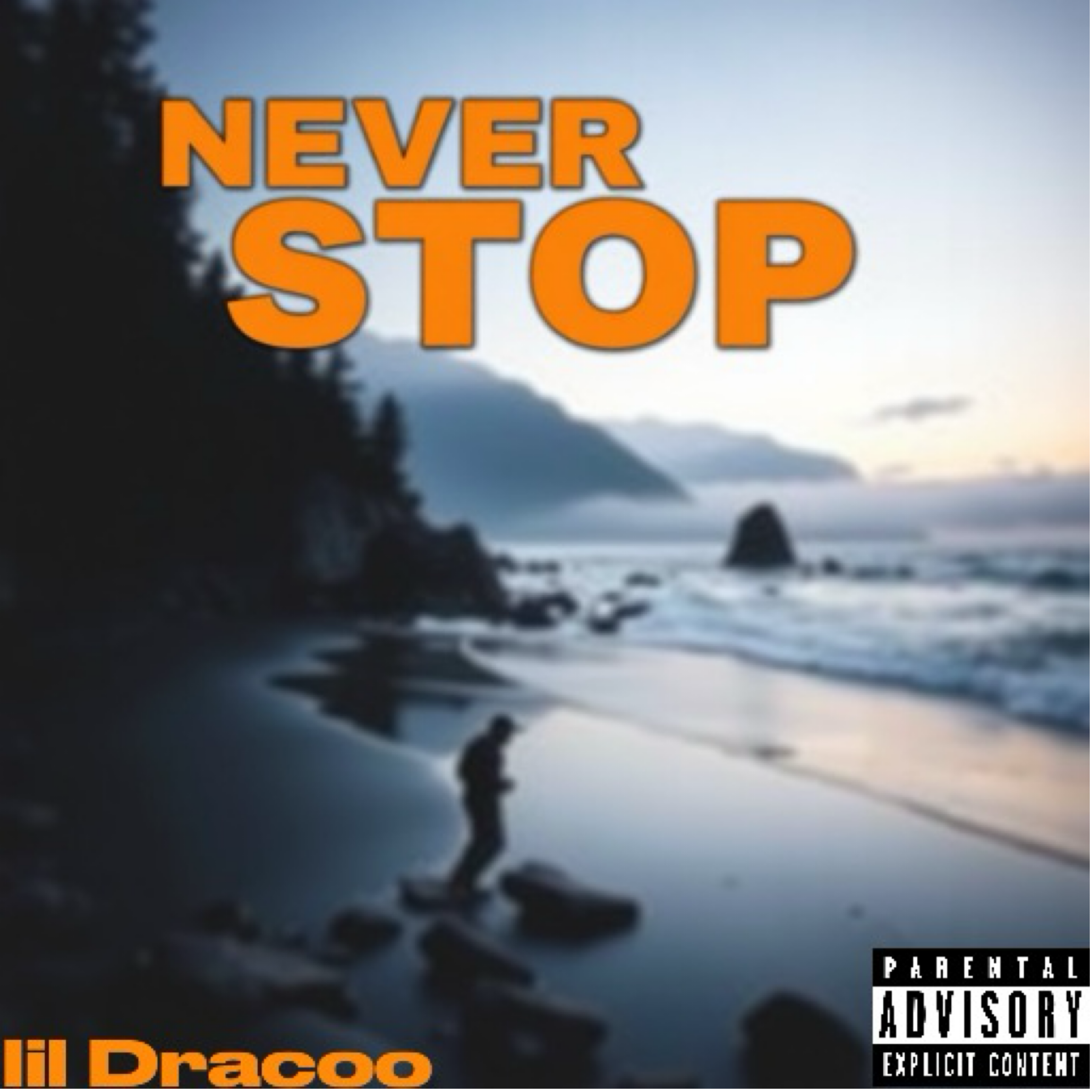 Never Stop artwork