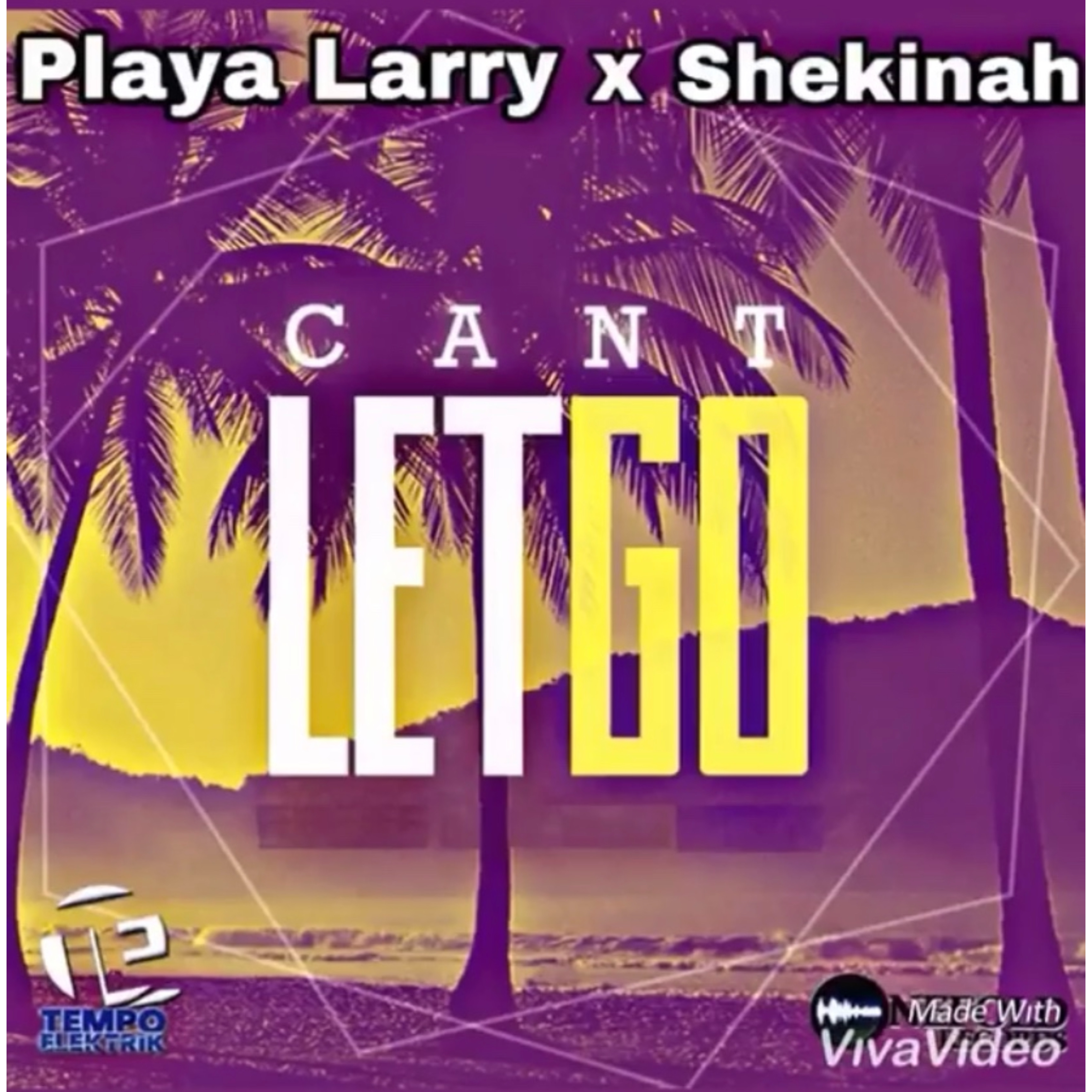 Cant Let Go artwork