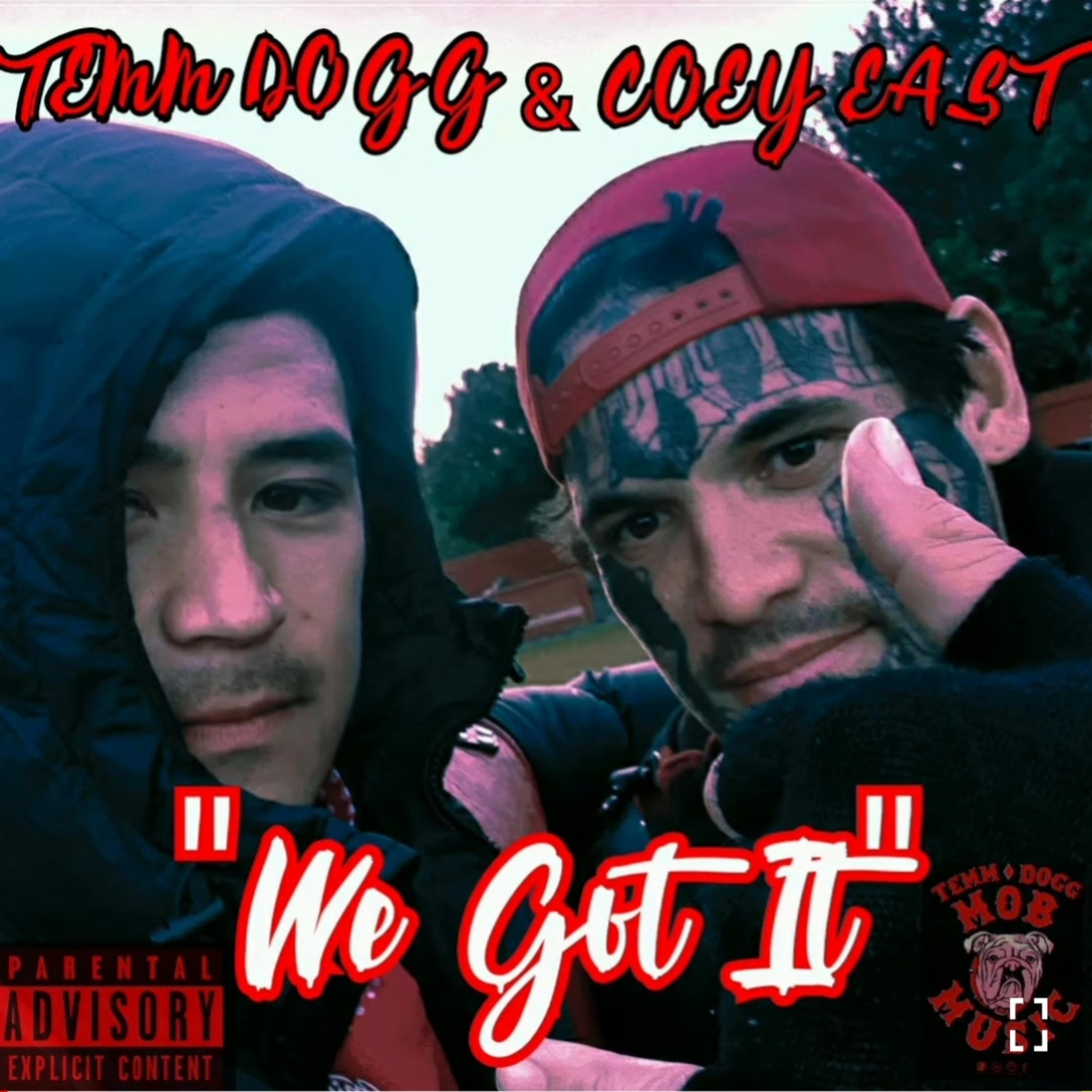 WE GOT IT artwork