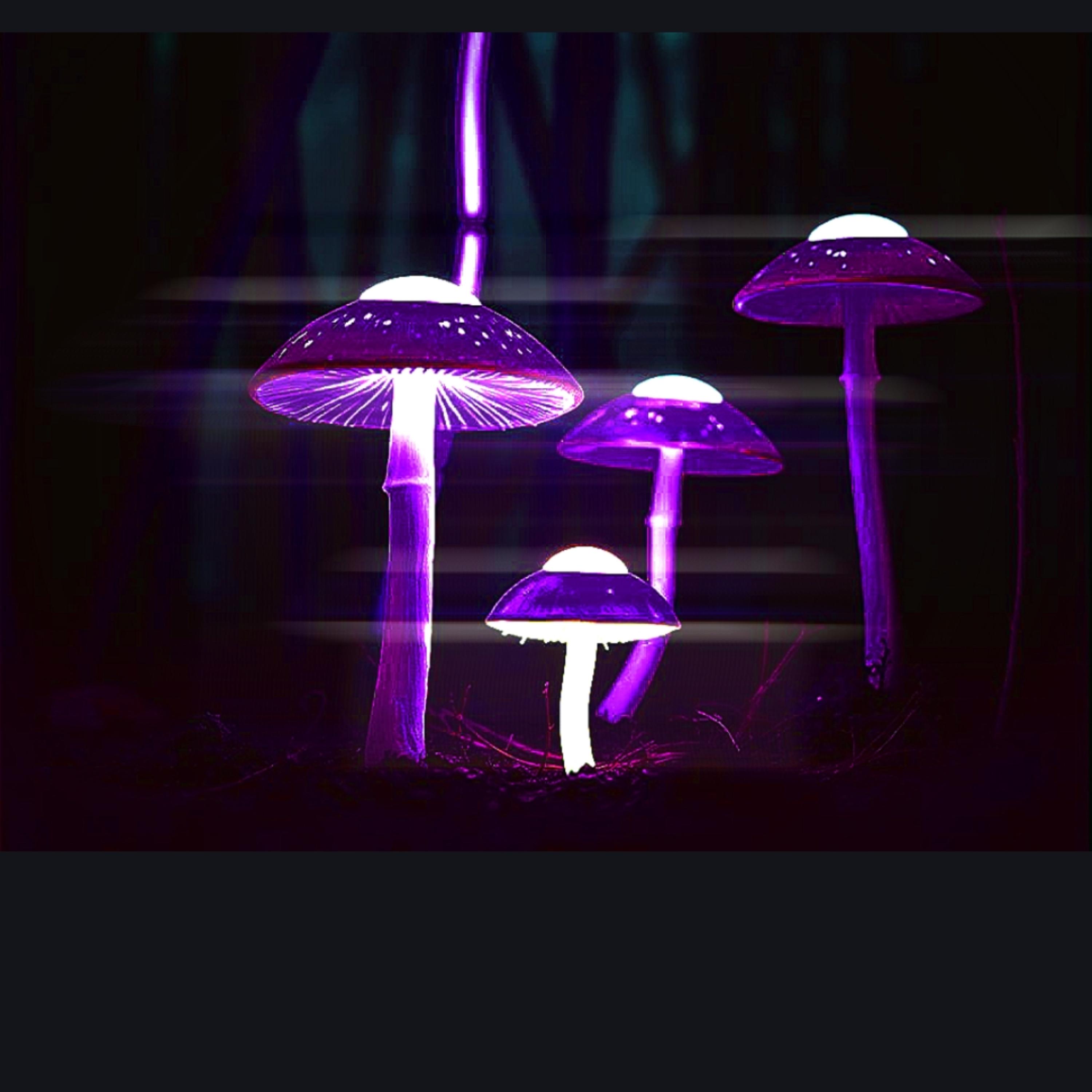 Lumina artwork