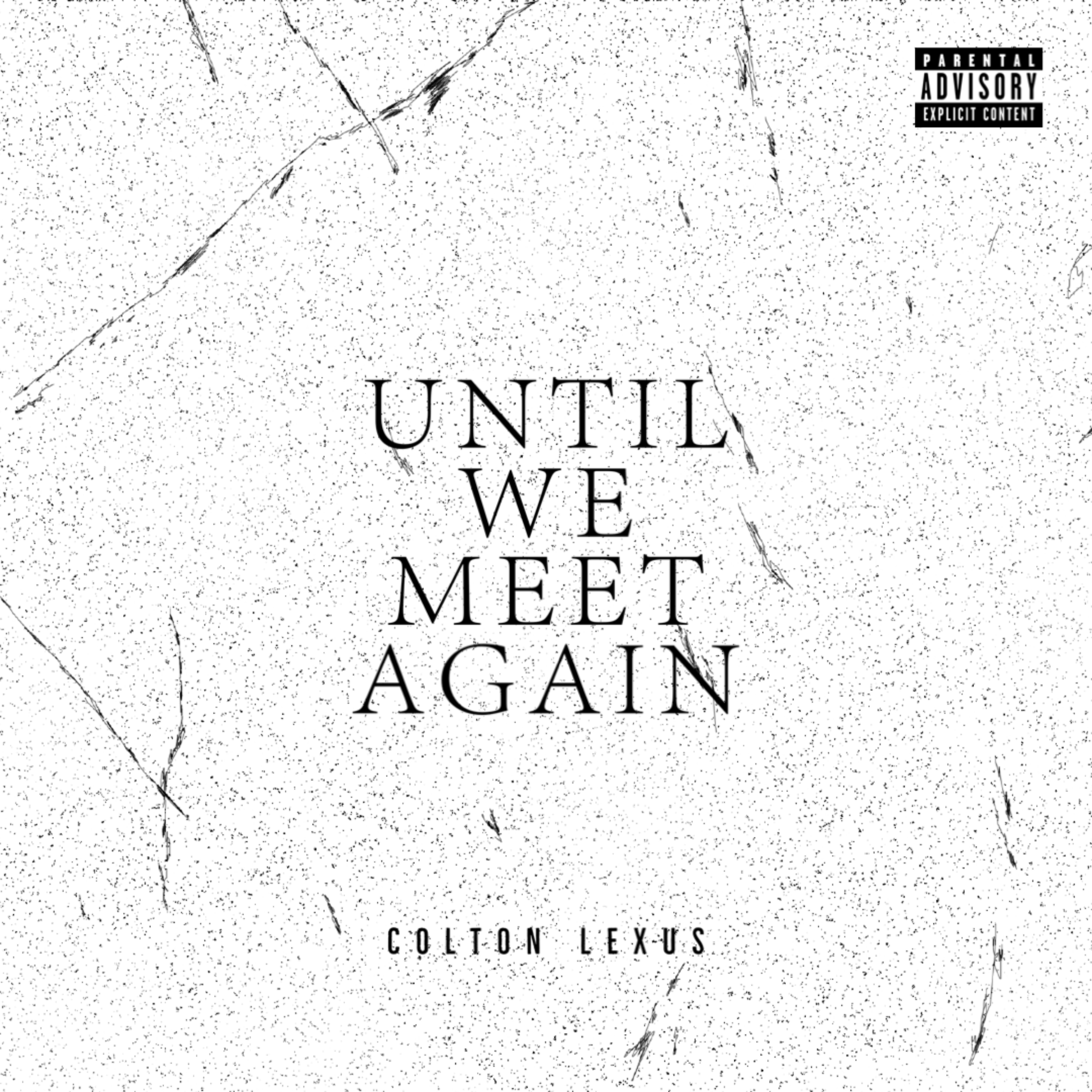 Until We Meet Again - Special Edition artwork