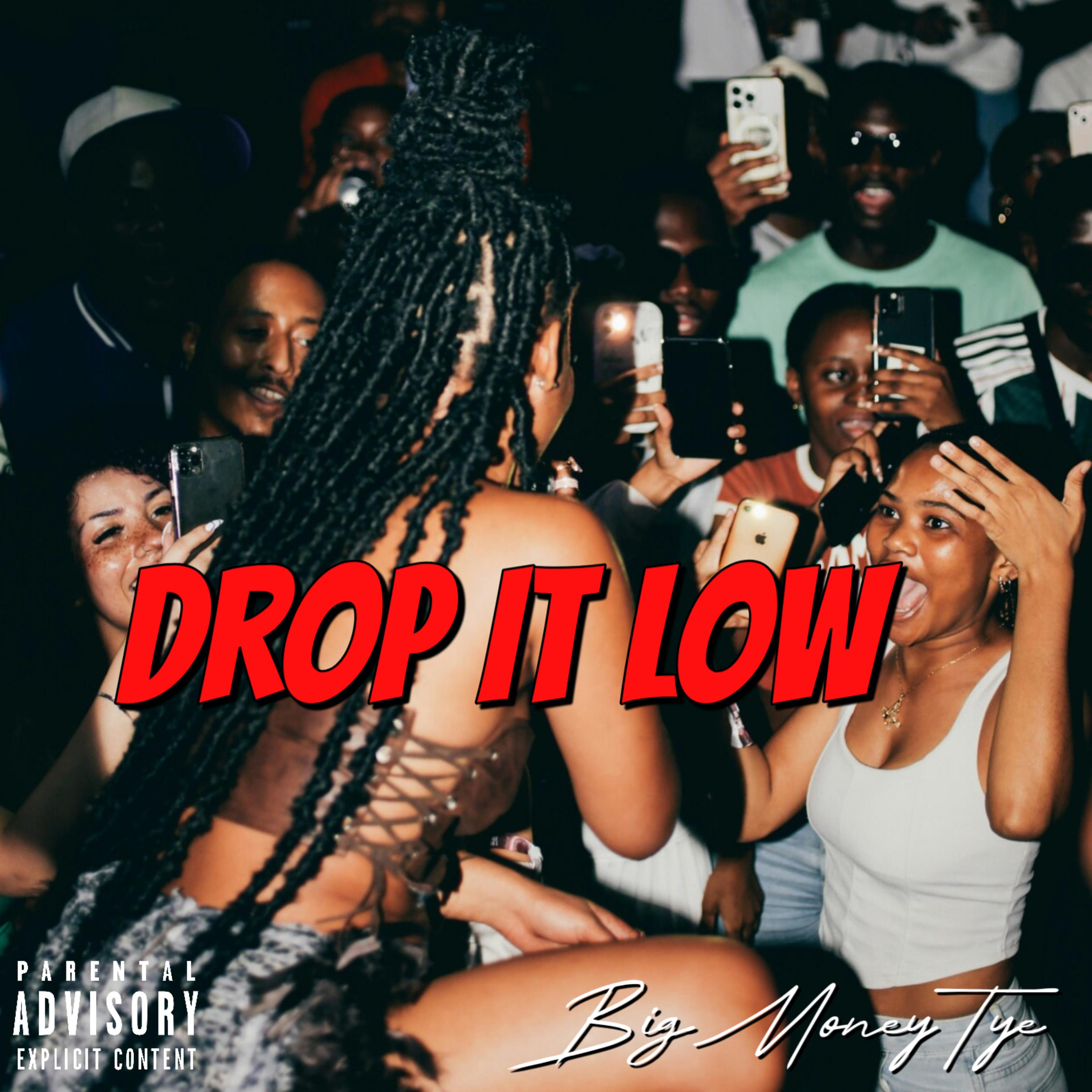 Drop It Low by BigMoneyTye cover art