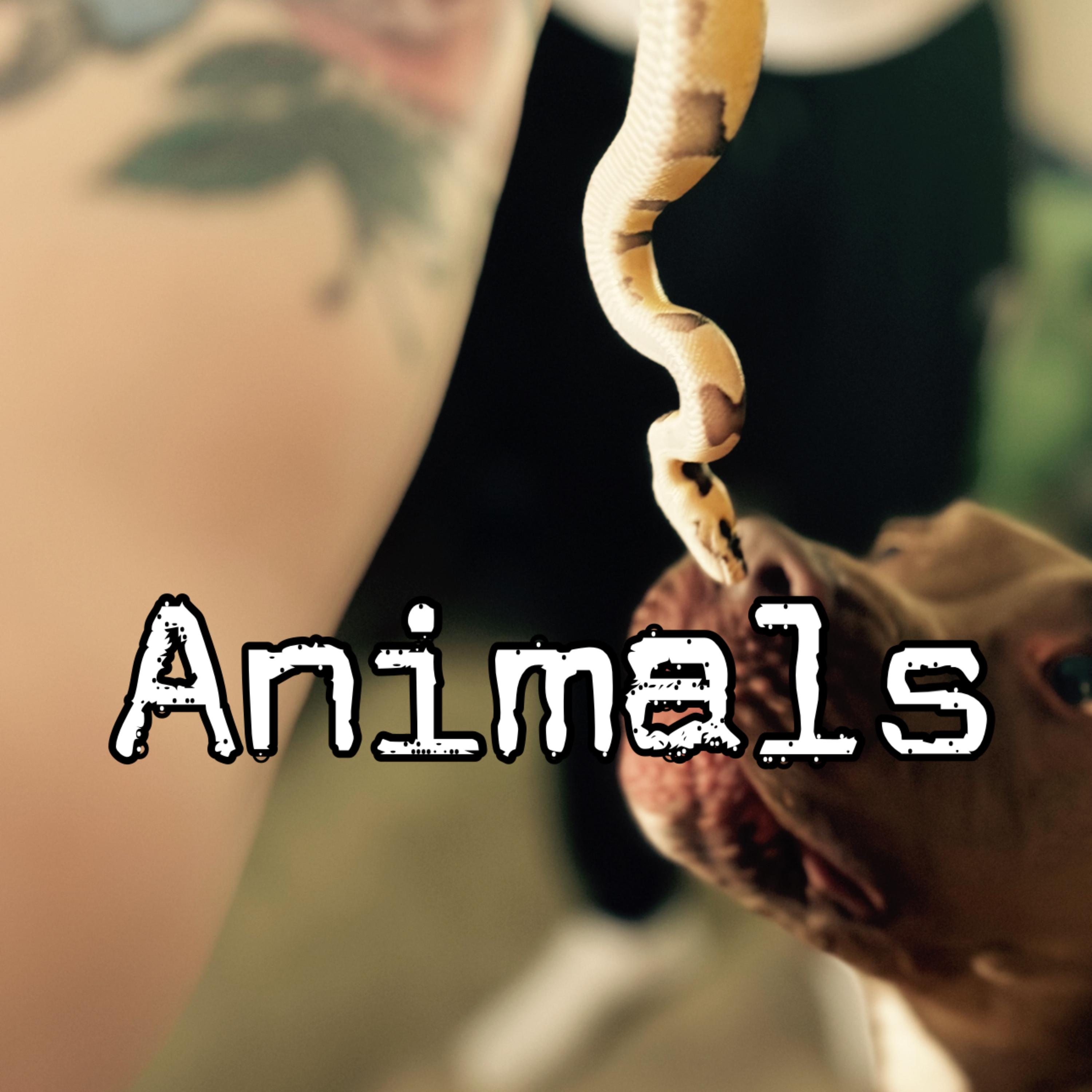 Animals artwork