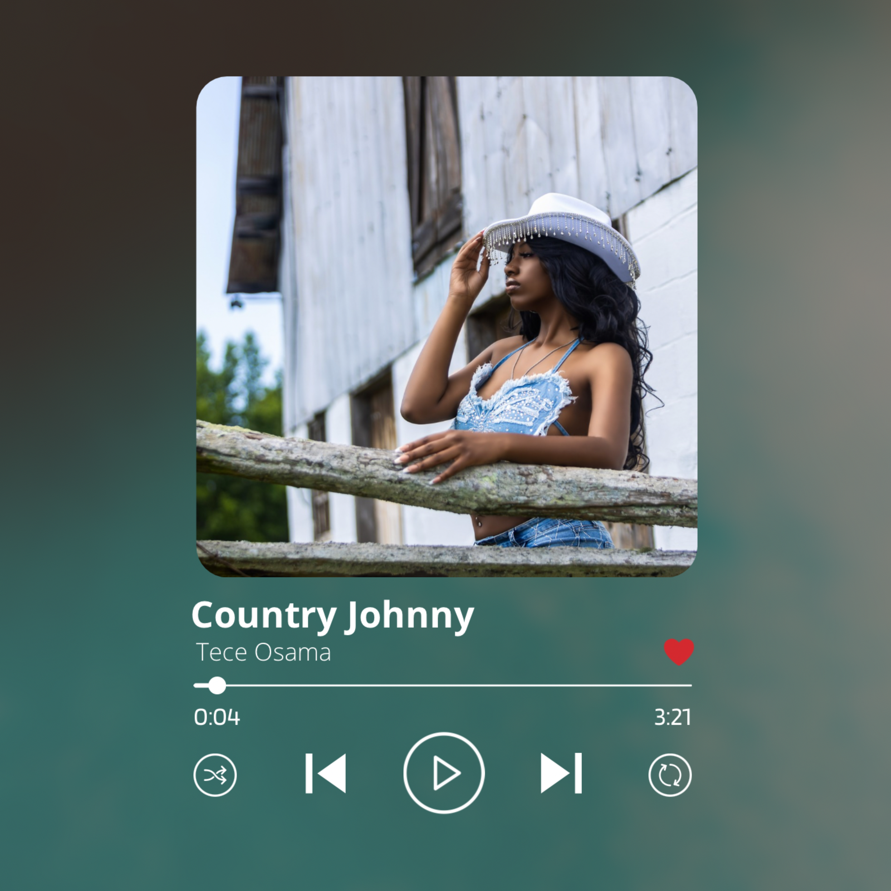 Country Johnny artwork