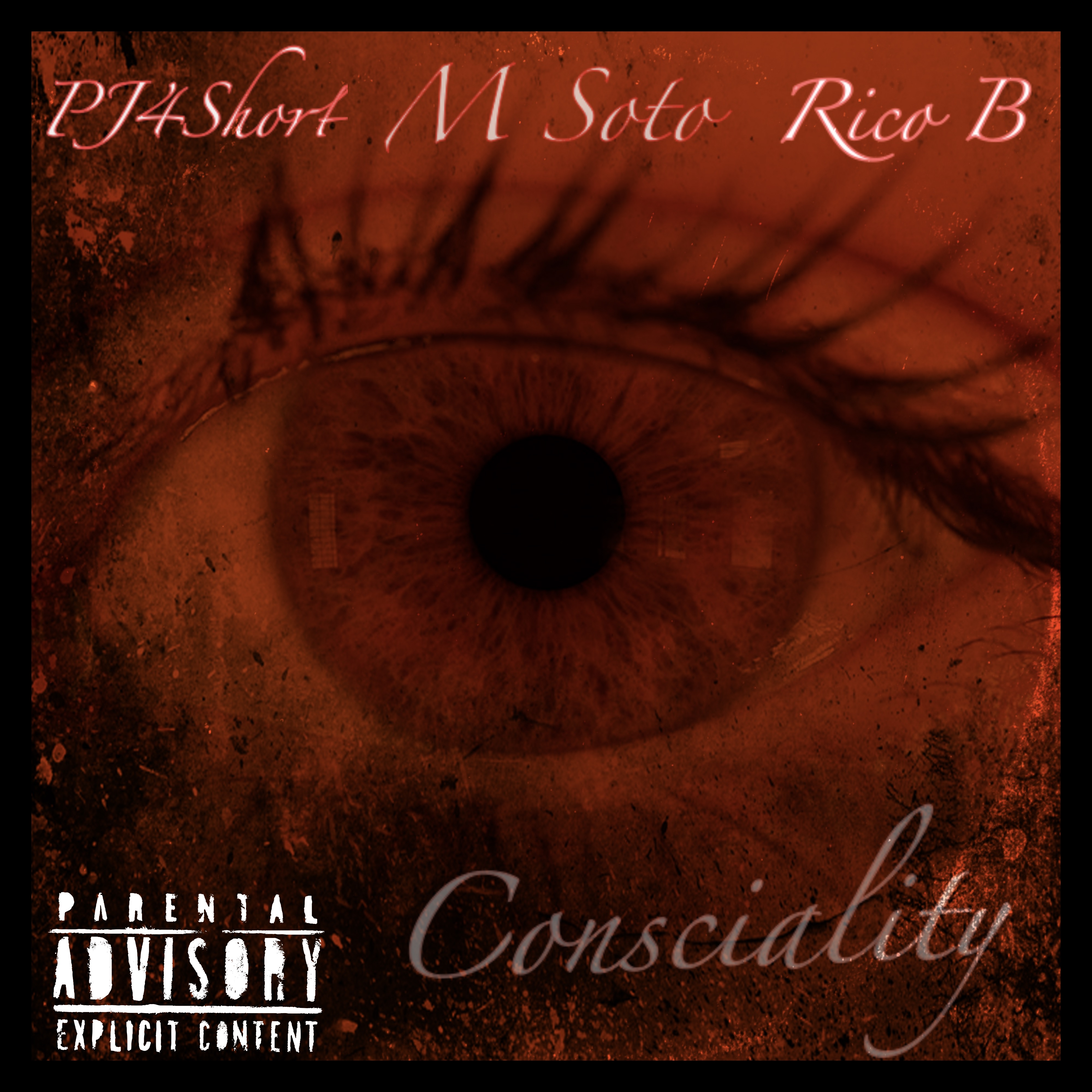 Consciality artwork