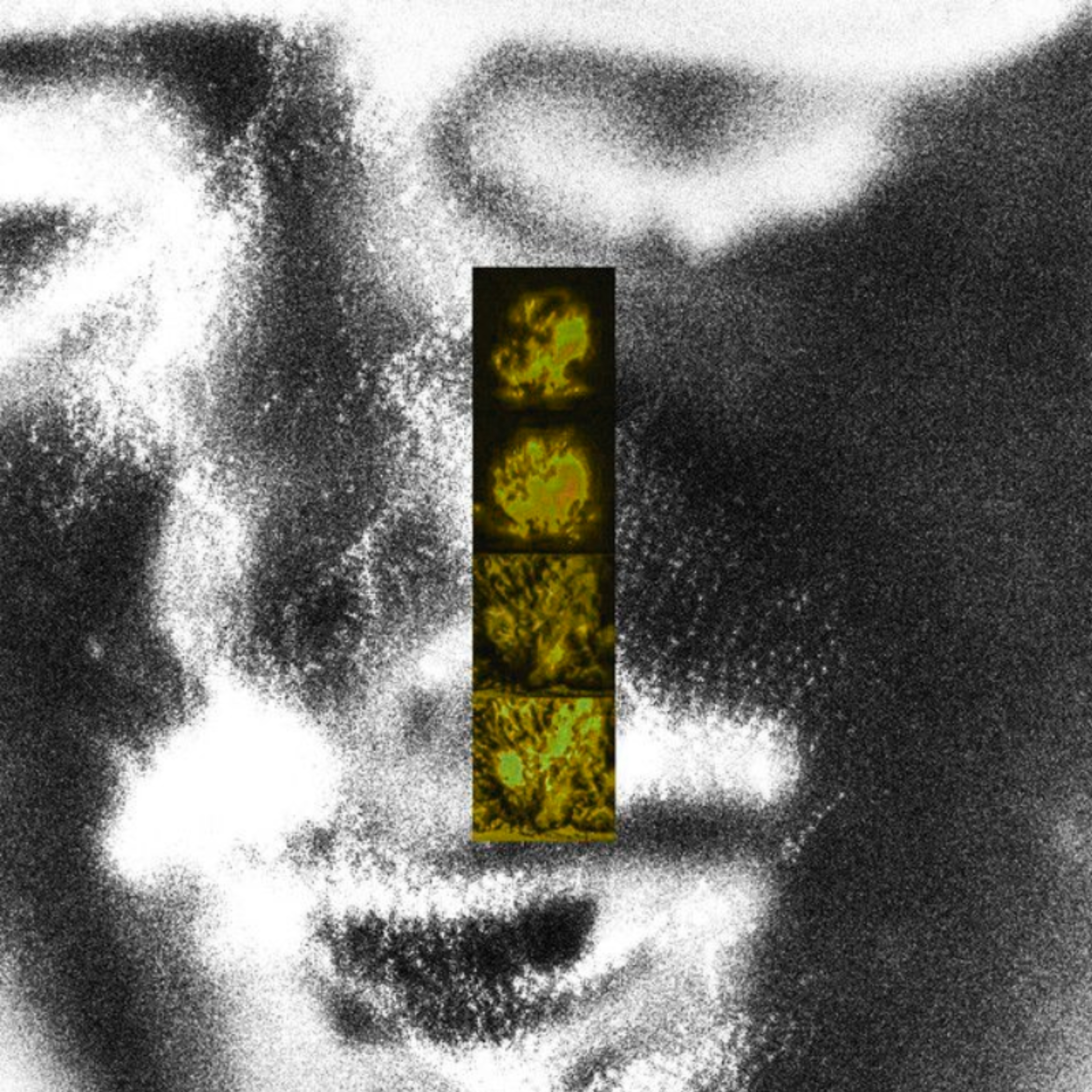 temporary feelin artwork