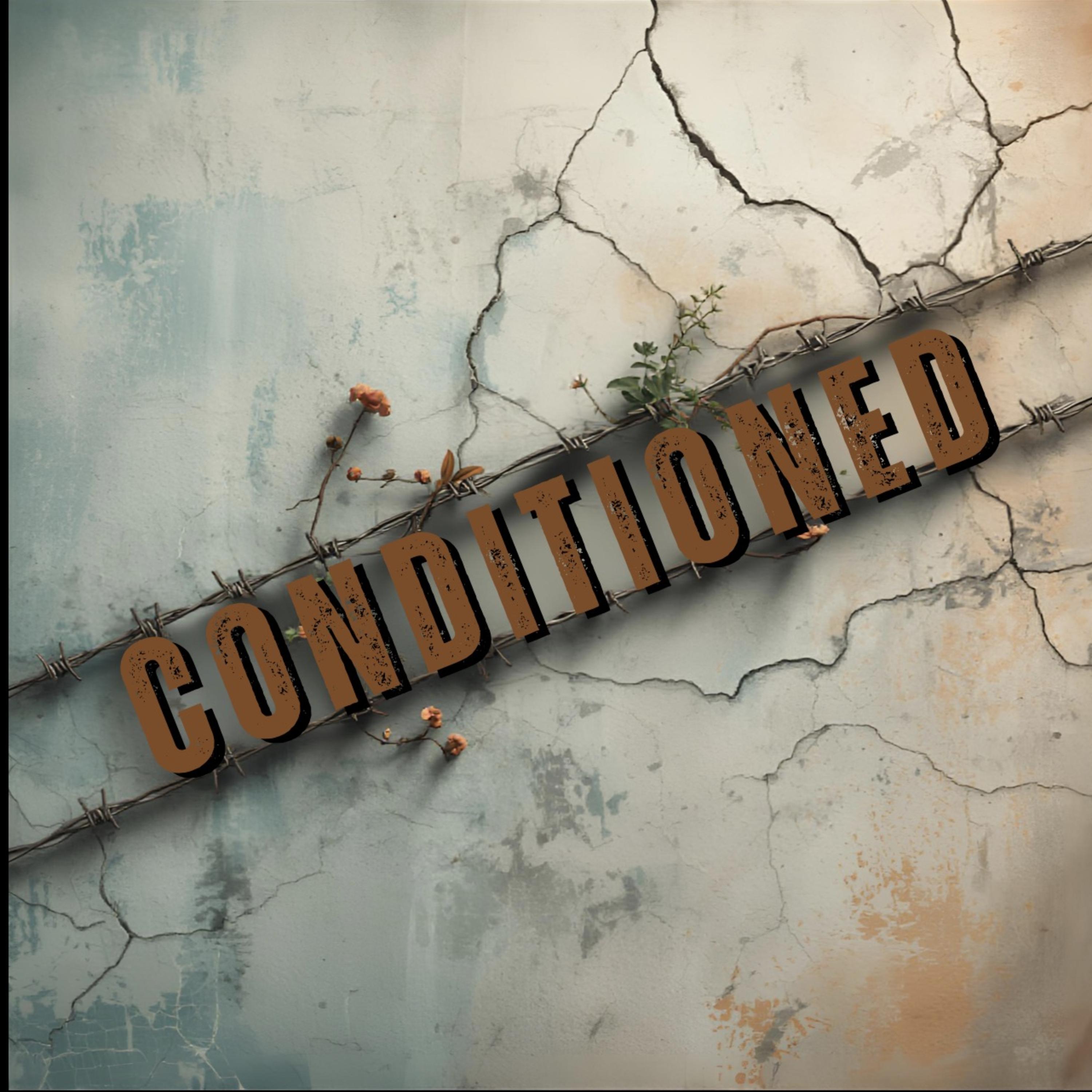 Conditioned artwork