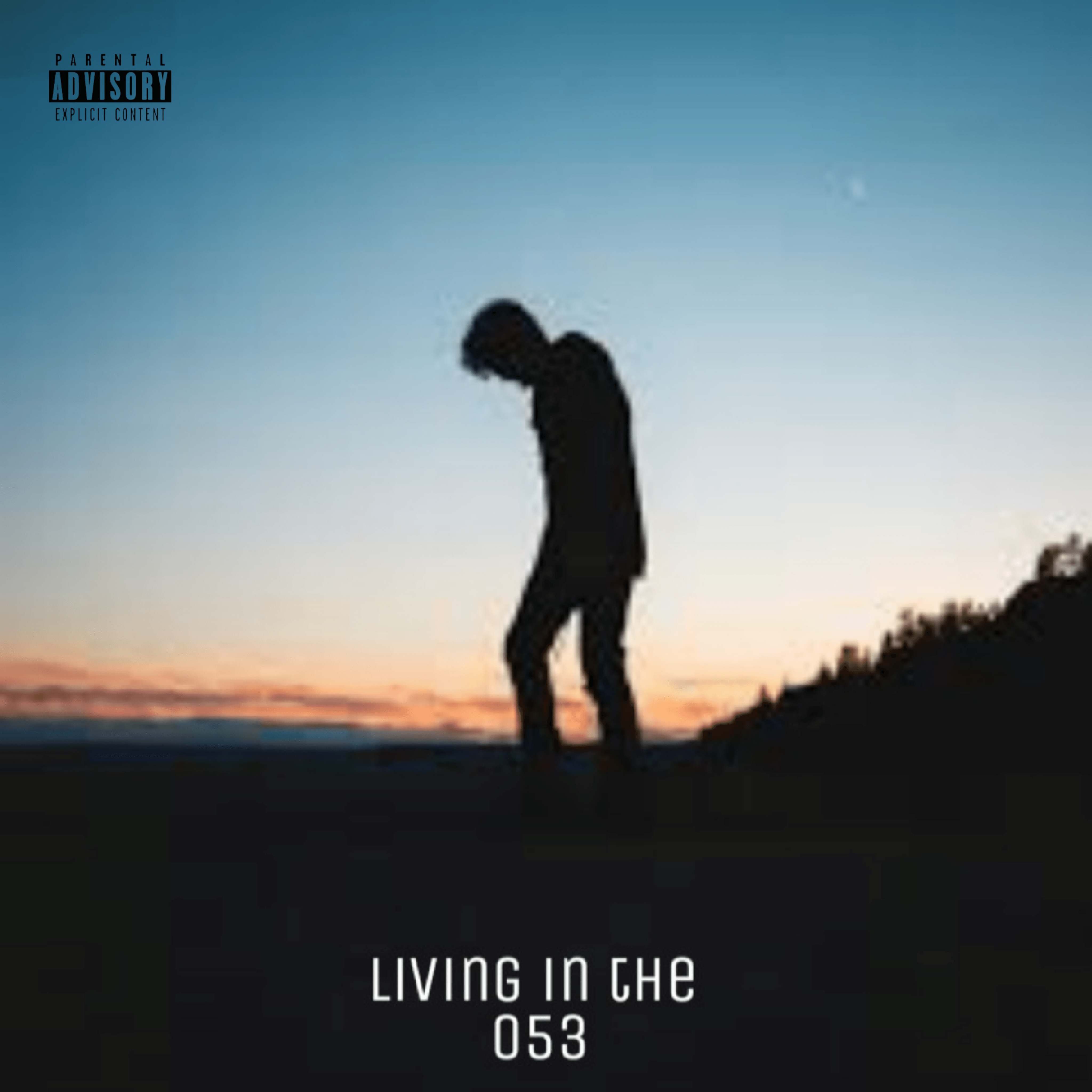 Living In the 053 artwork