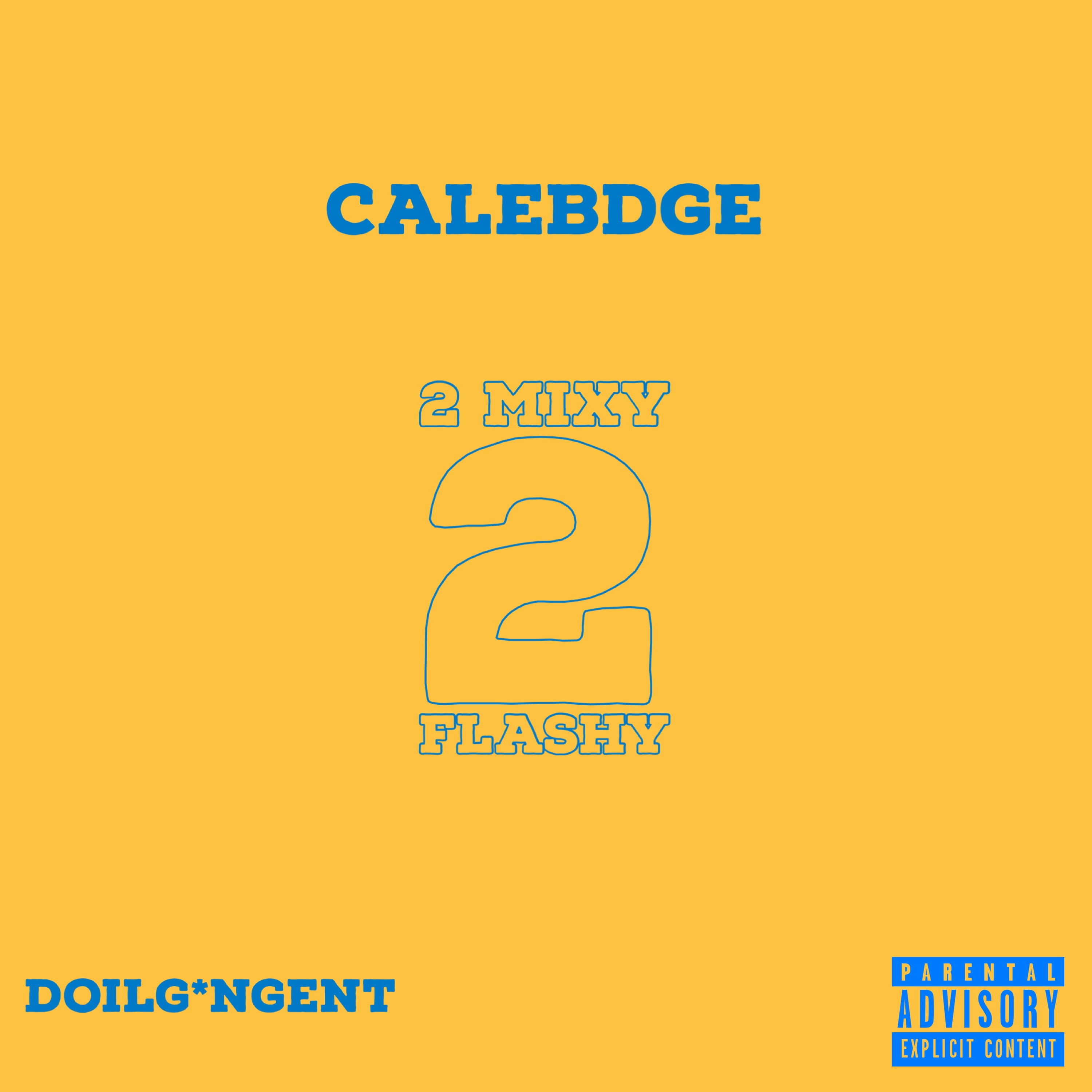 2mixy2flashy artwork