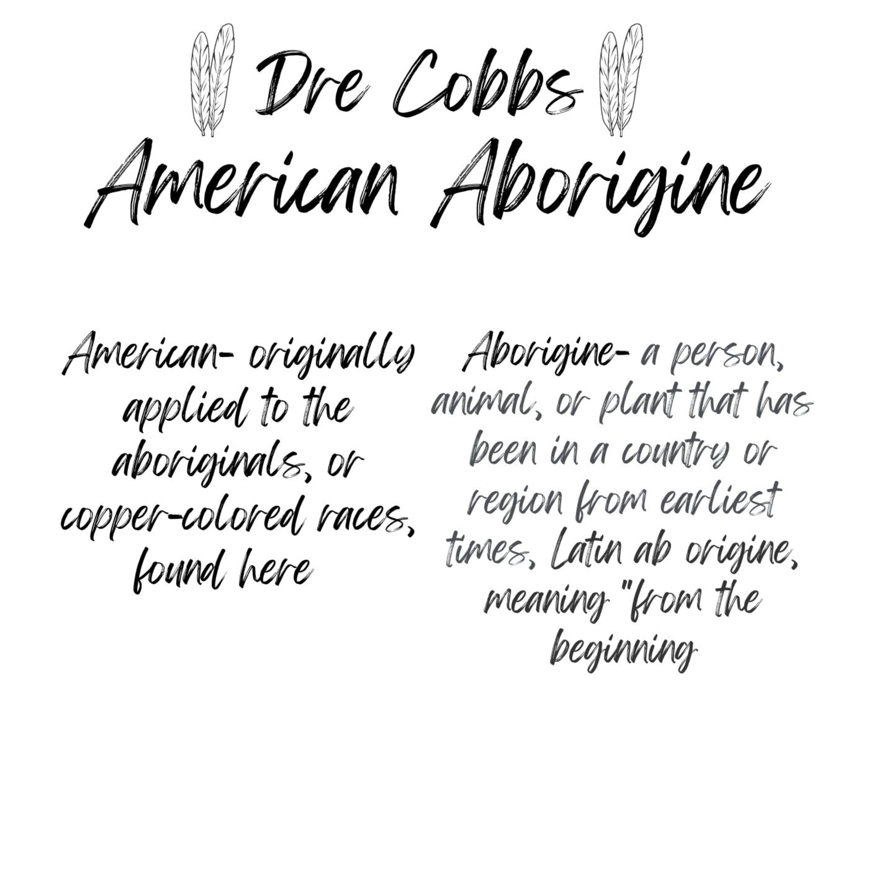 American Aborigine artwork