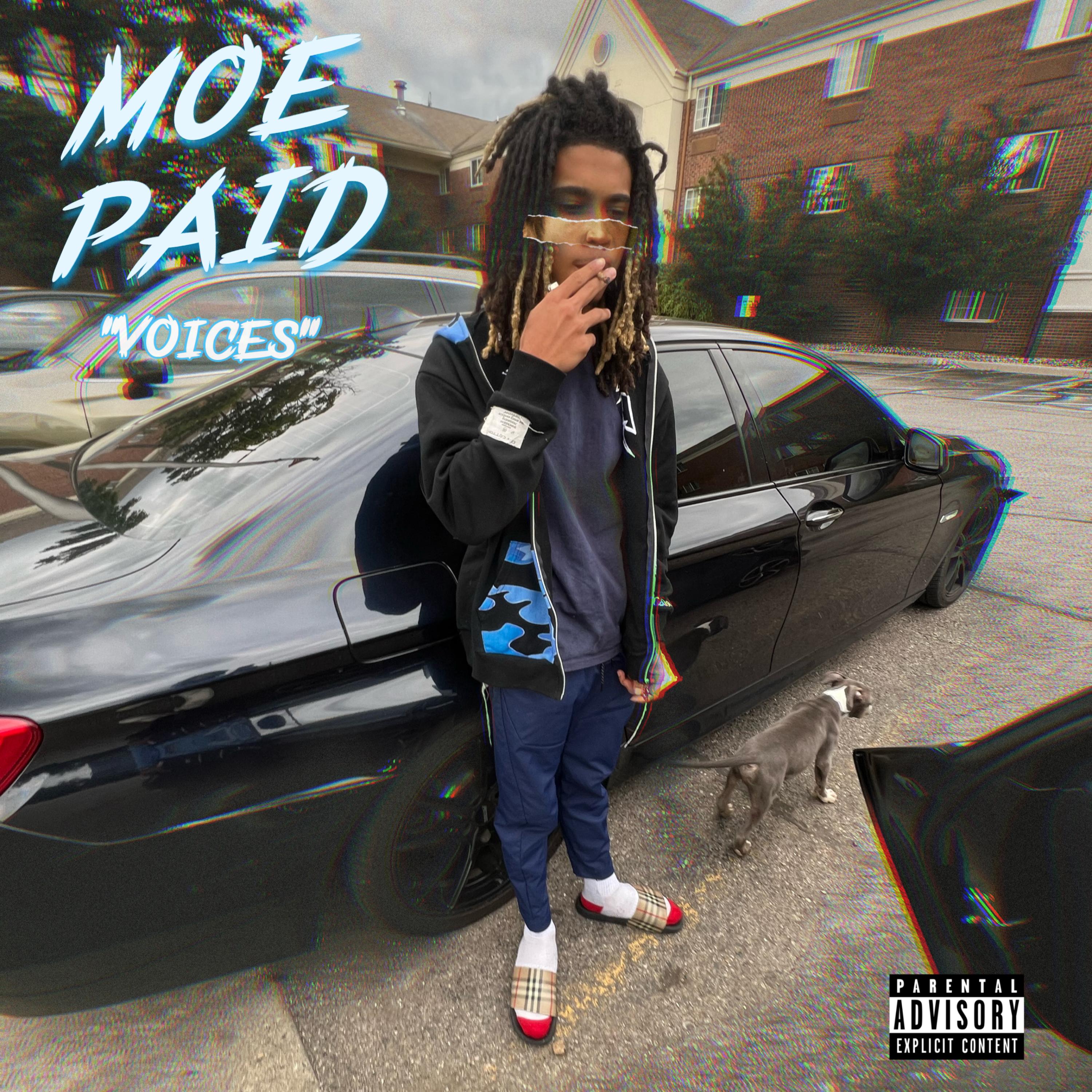 Voices artwork
