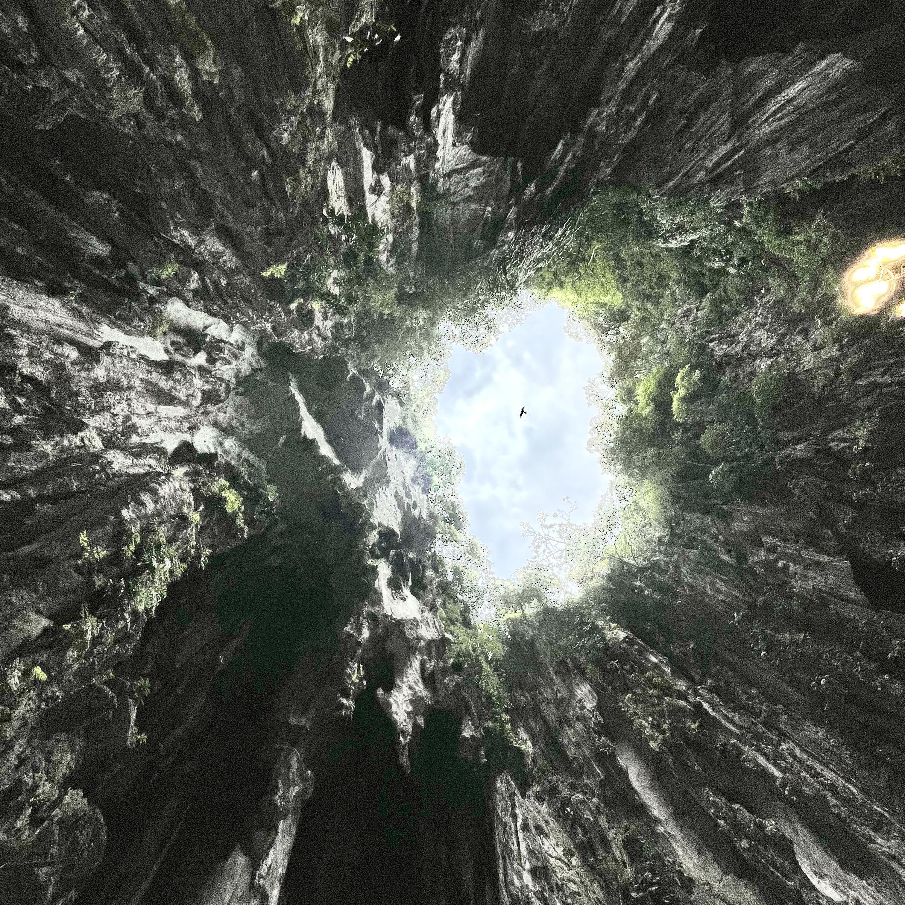 What Can I Say artwork