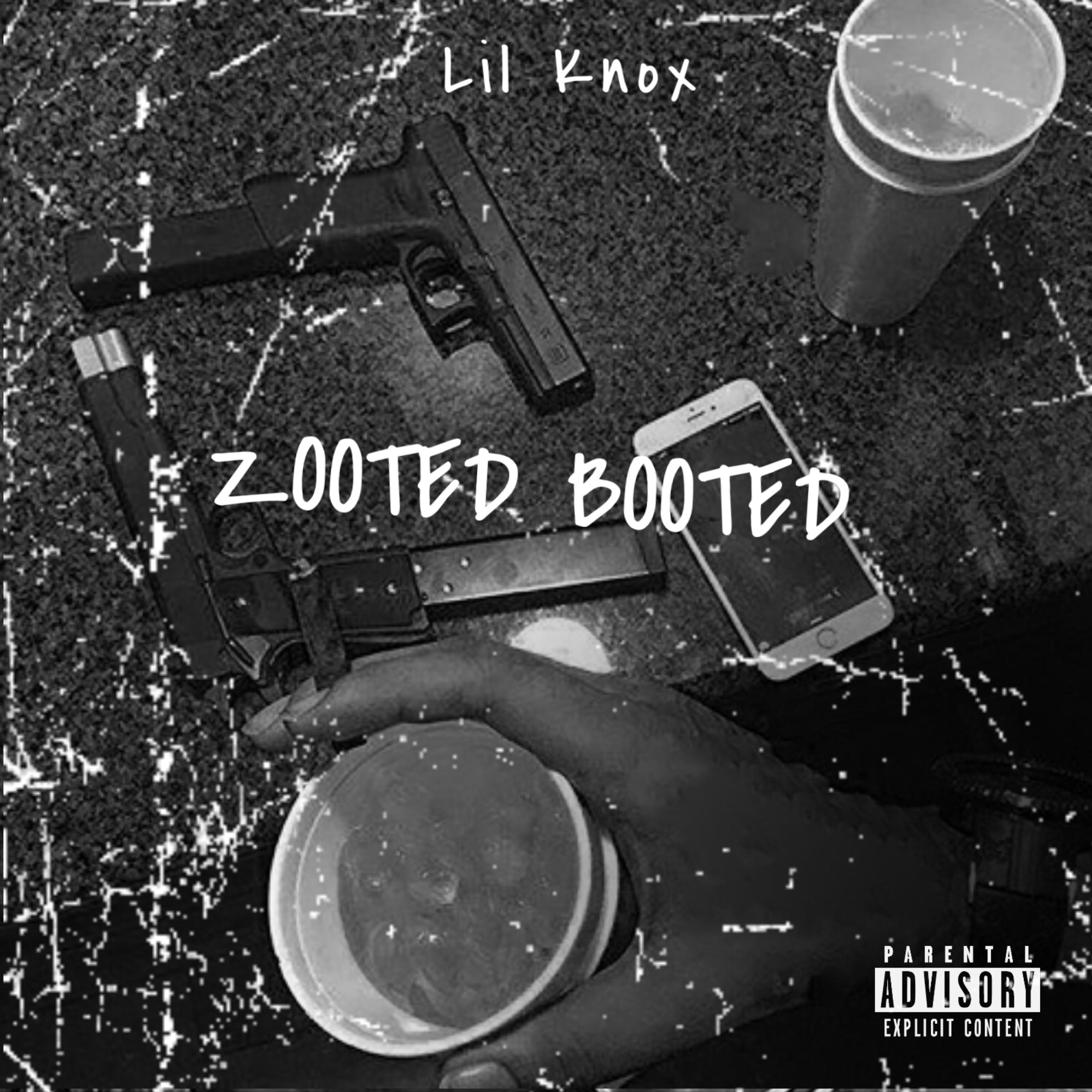 Zooted Booted artwork