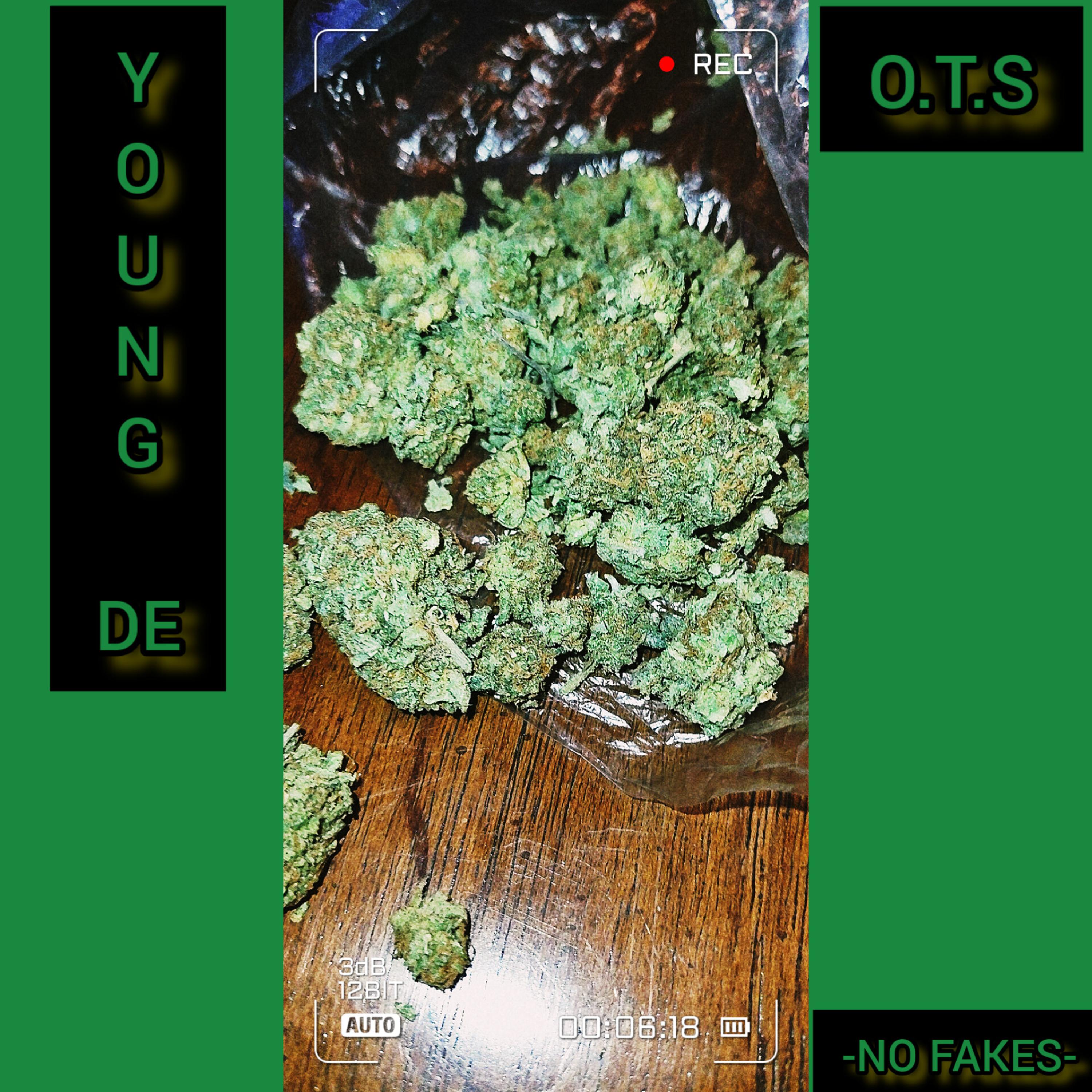No Fakes by O.T.S DE cover art