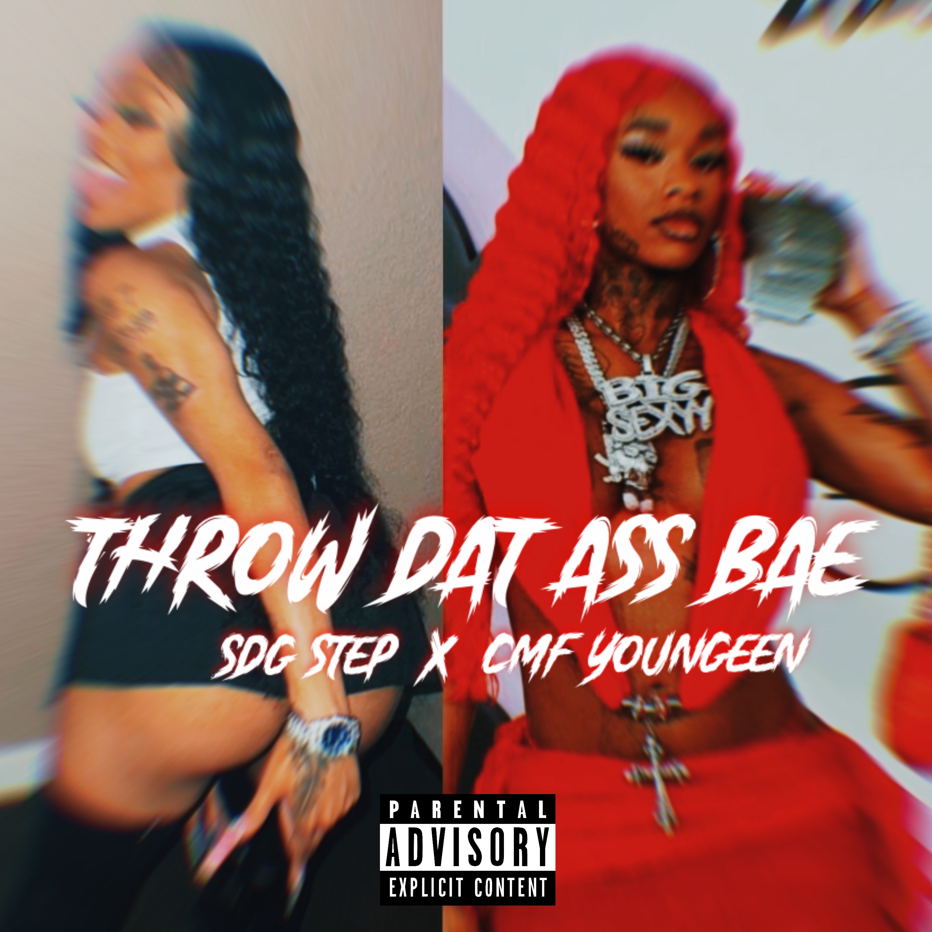 Throw Dat Ass Bae artwork