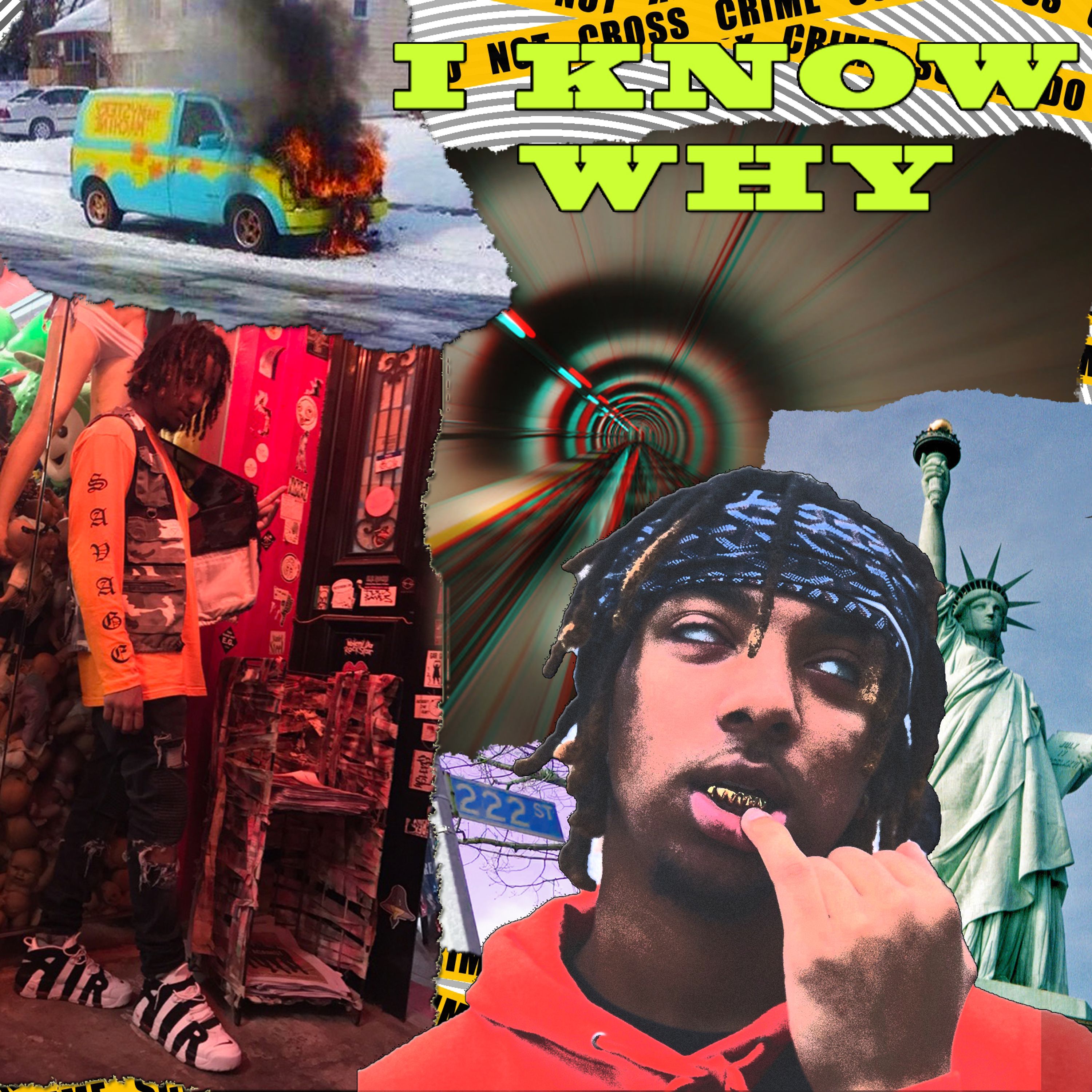 I KNOW WHY artwork