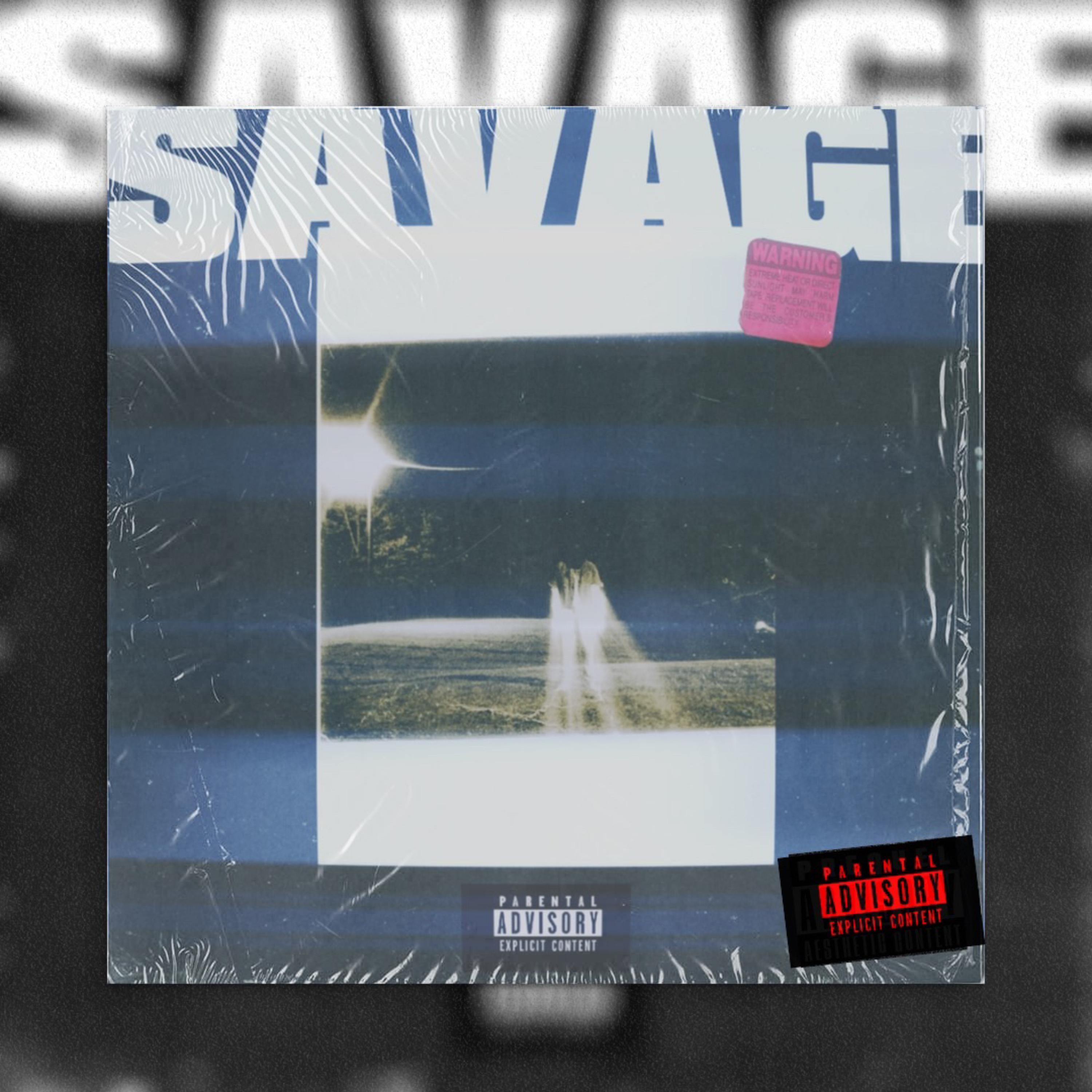 SAVAGE artwork