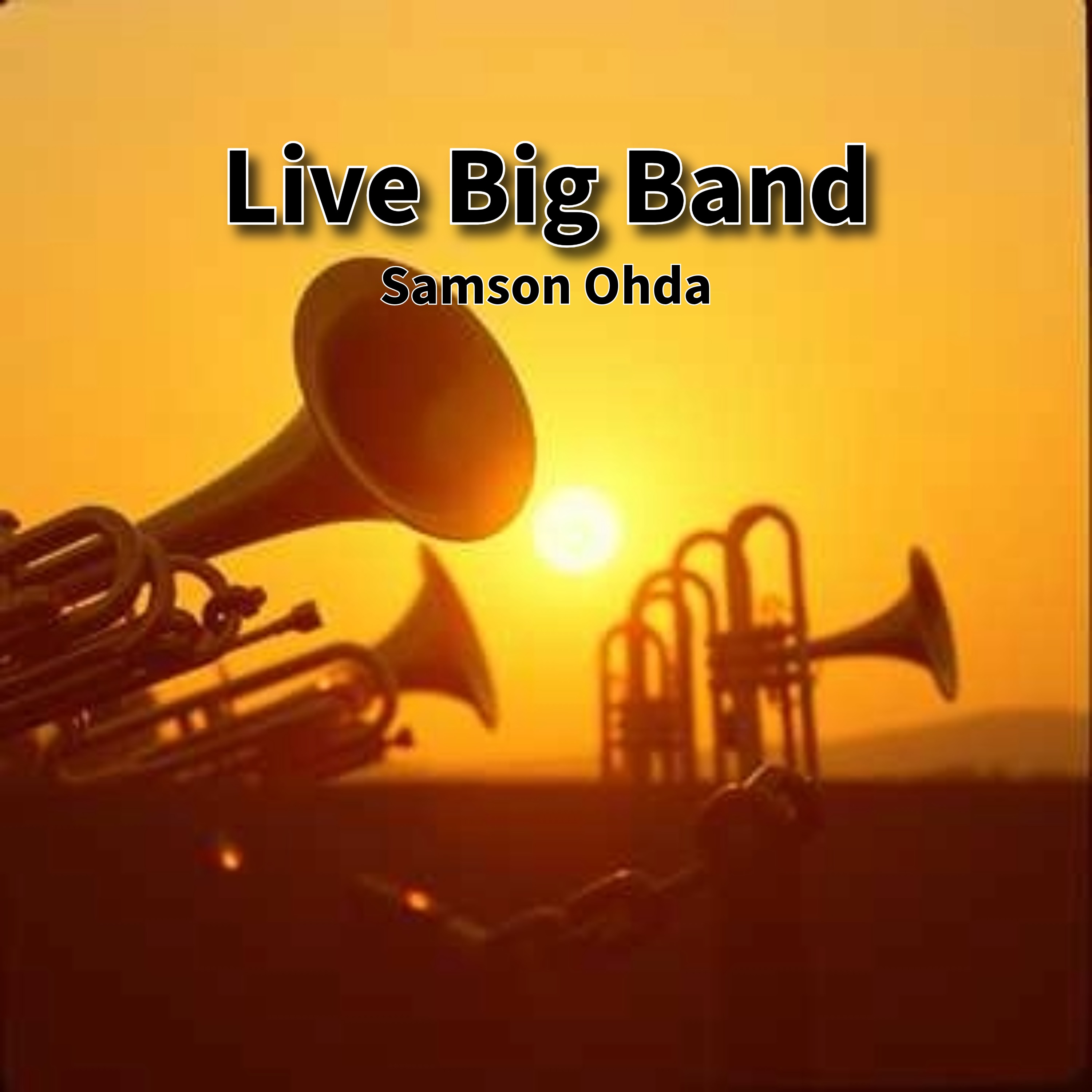 Live Big Band Vol 1 Album artwork