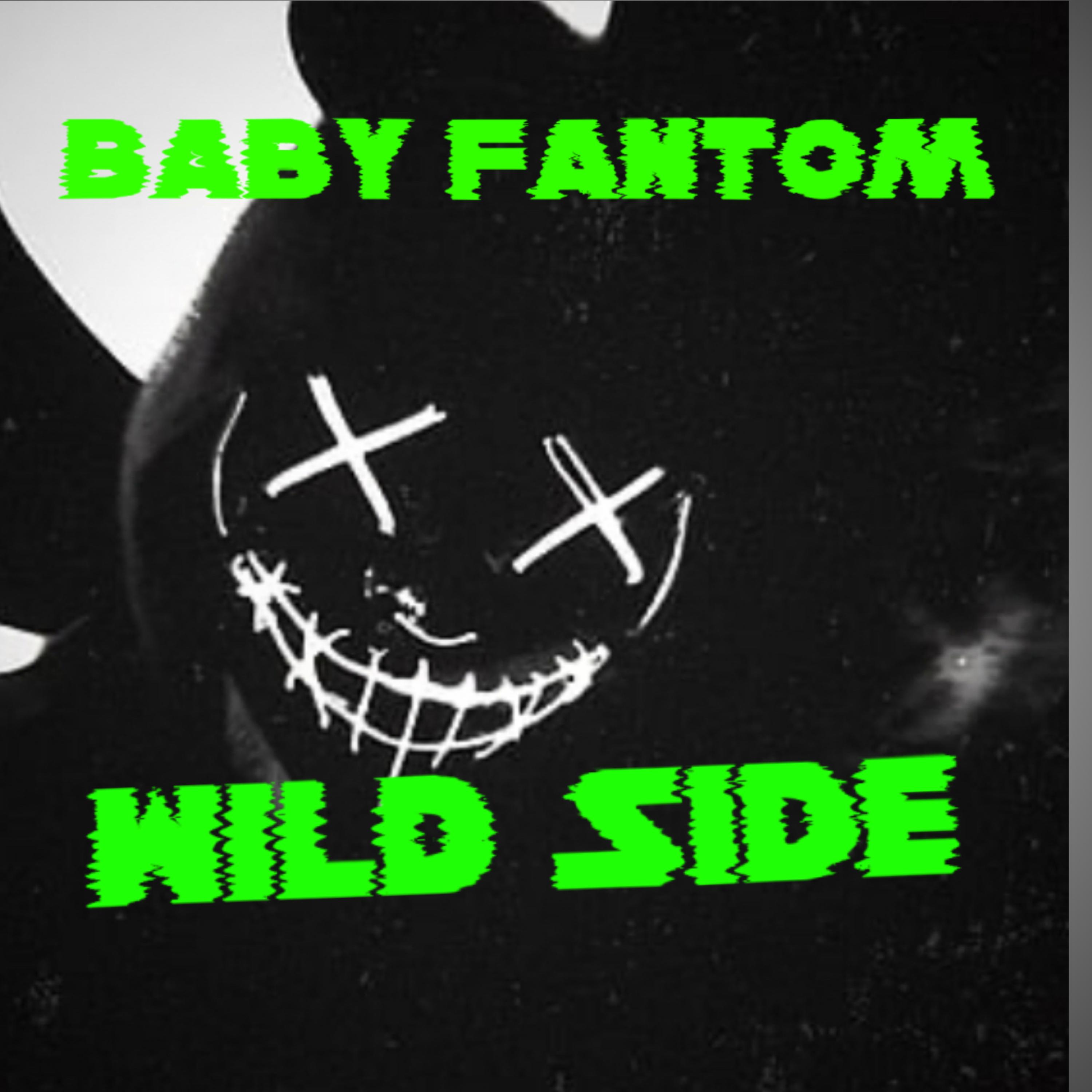 Wild Side artwork