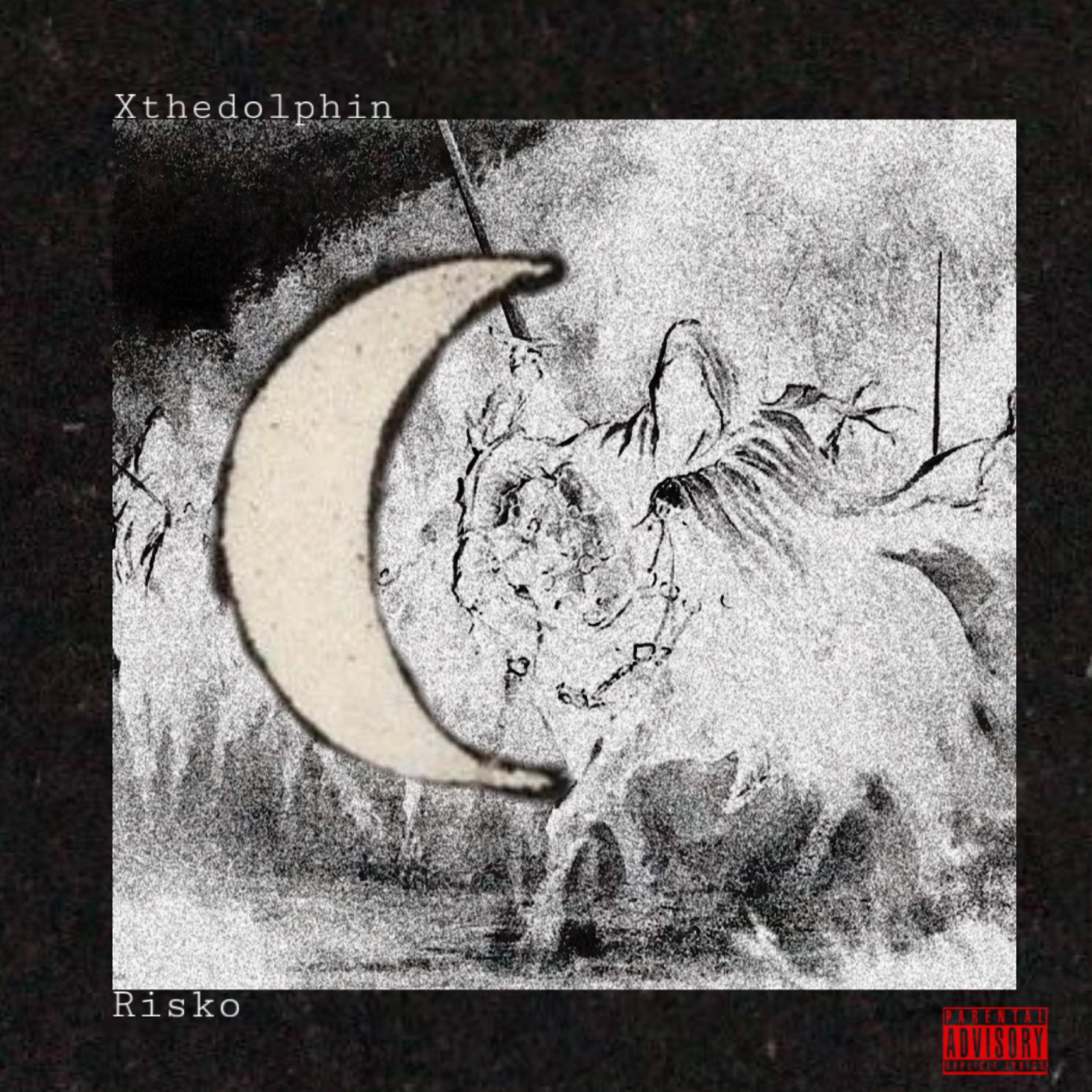 Riding Horses To The Moon artwork
