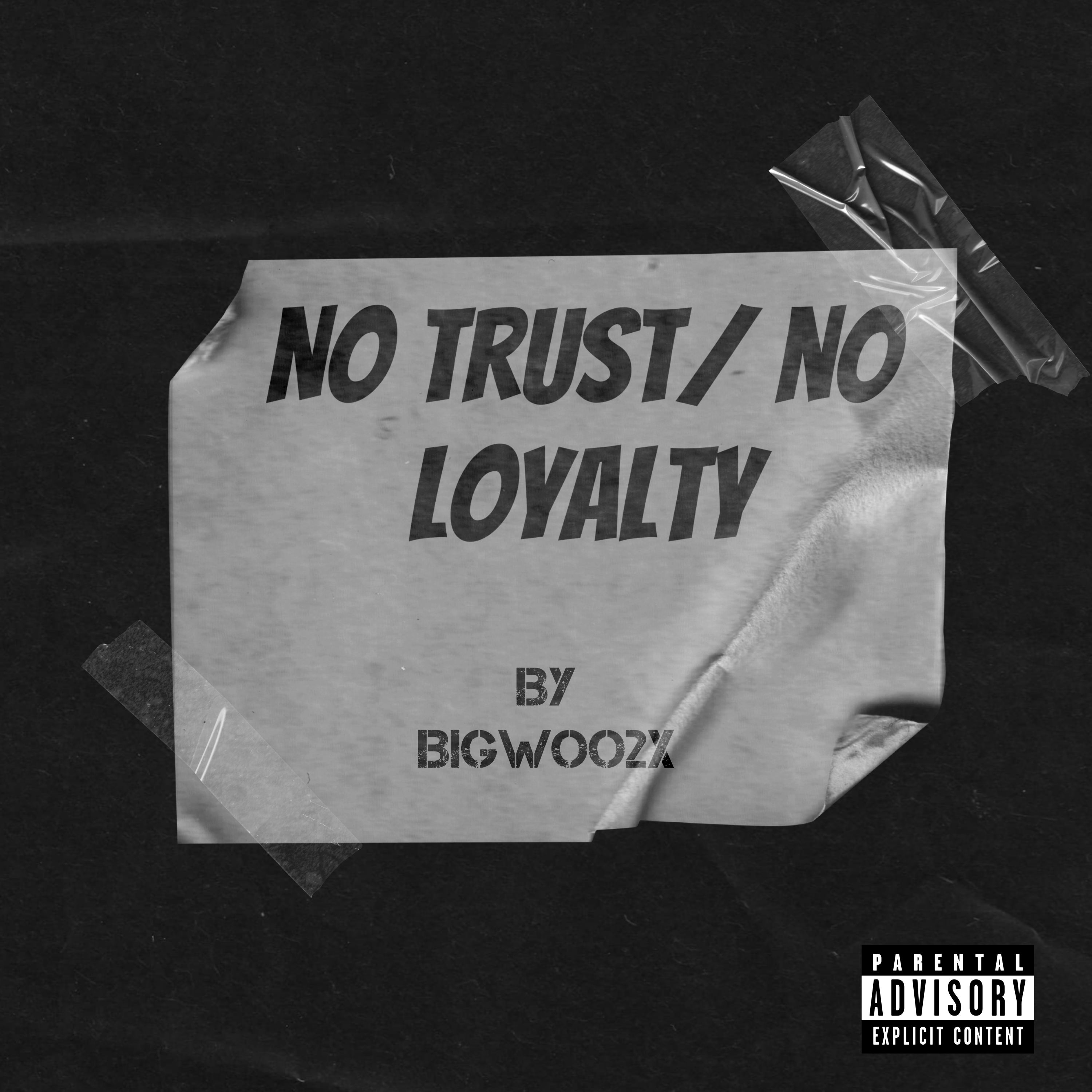 No Trust/ No Loyalty by Bigwoo2x cover art