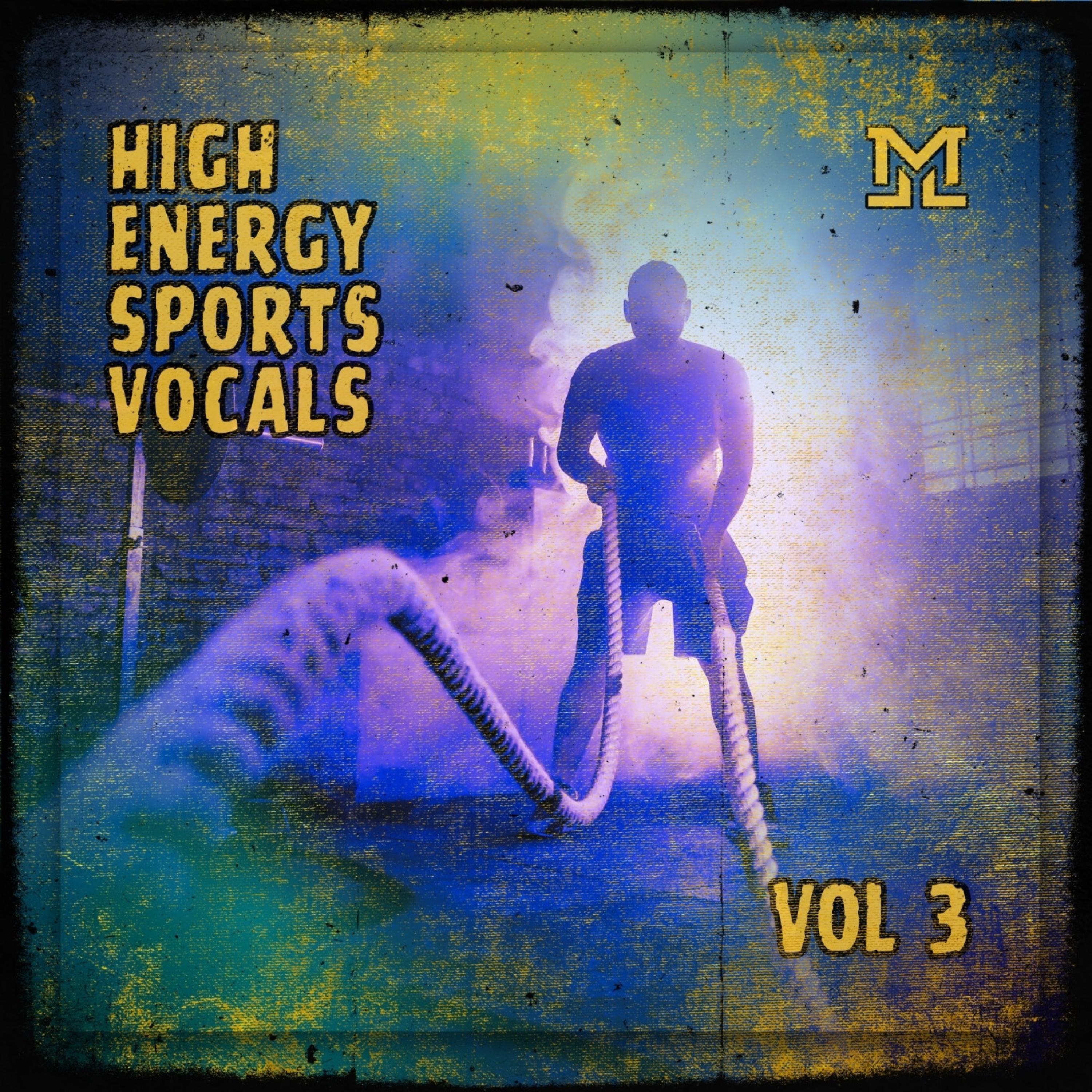 High Energy Sports Vocals Vol 3 artwork