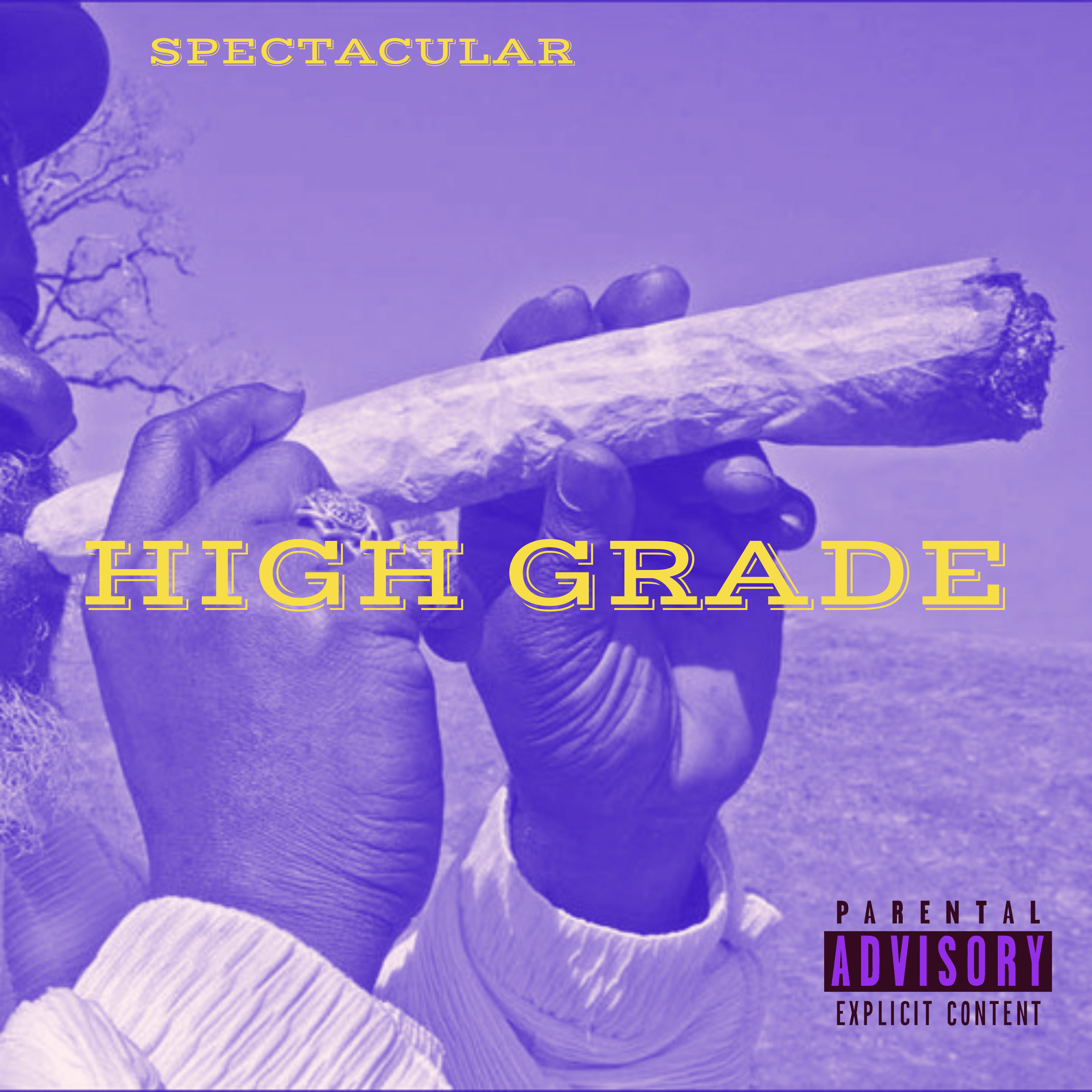 HIGH GRADE artwork