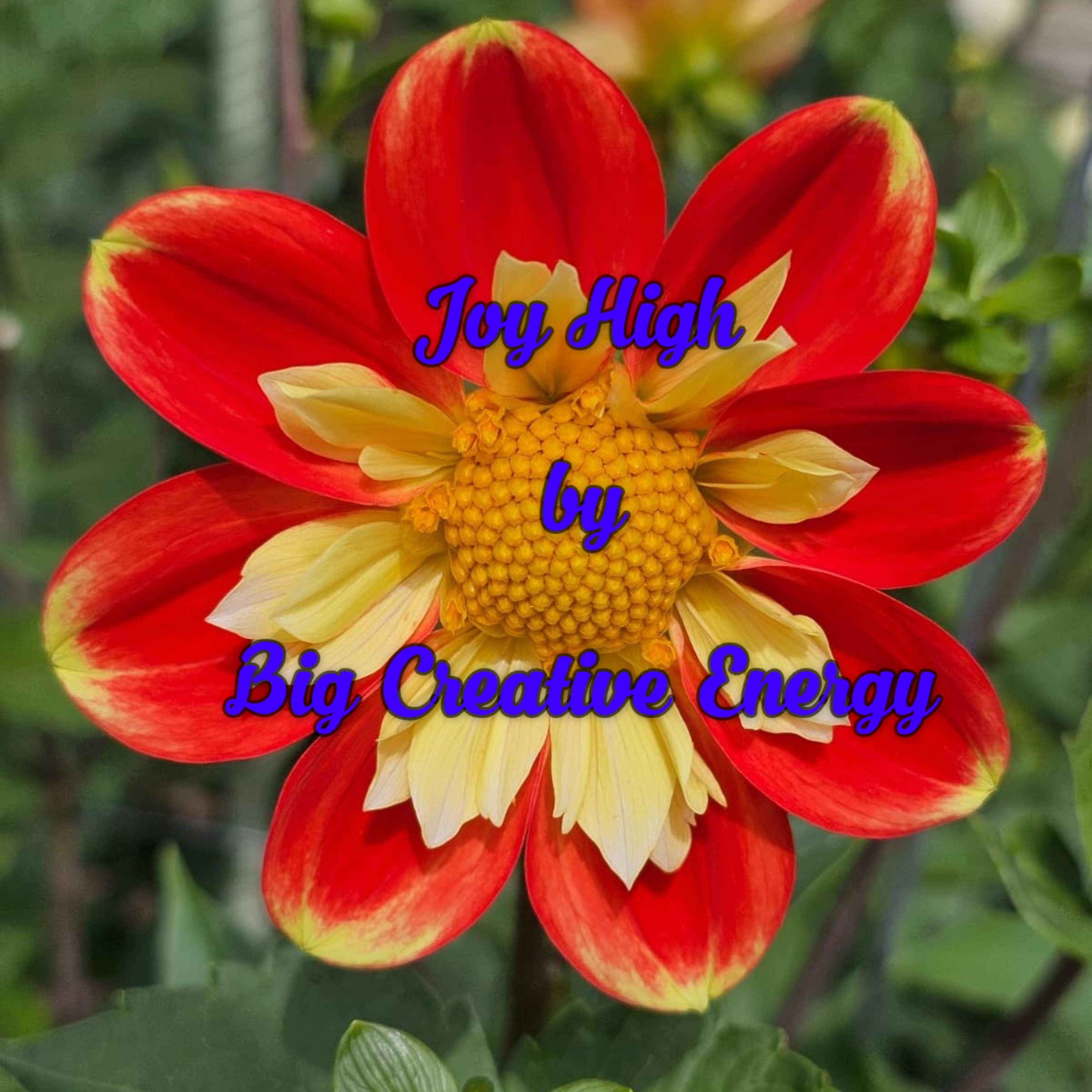 Joy High artwork