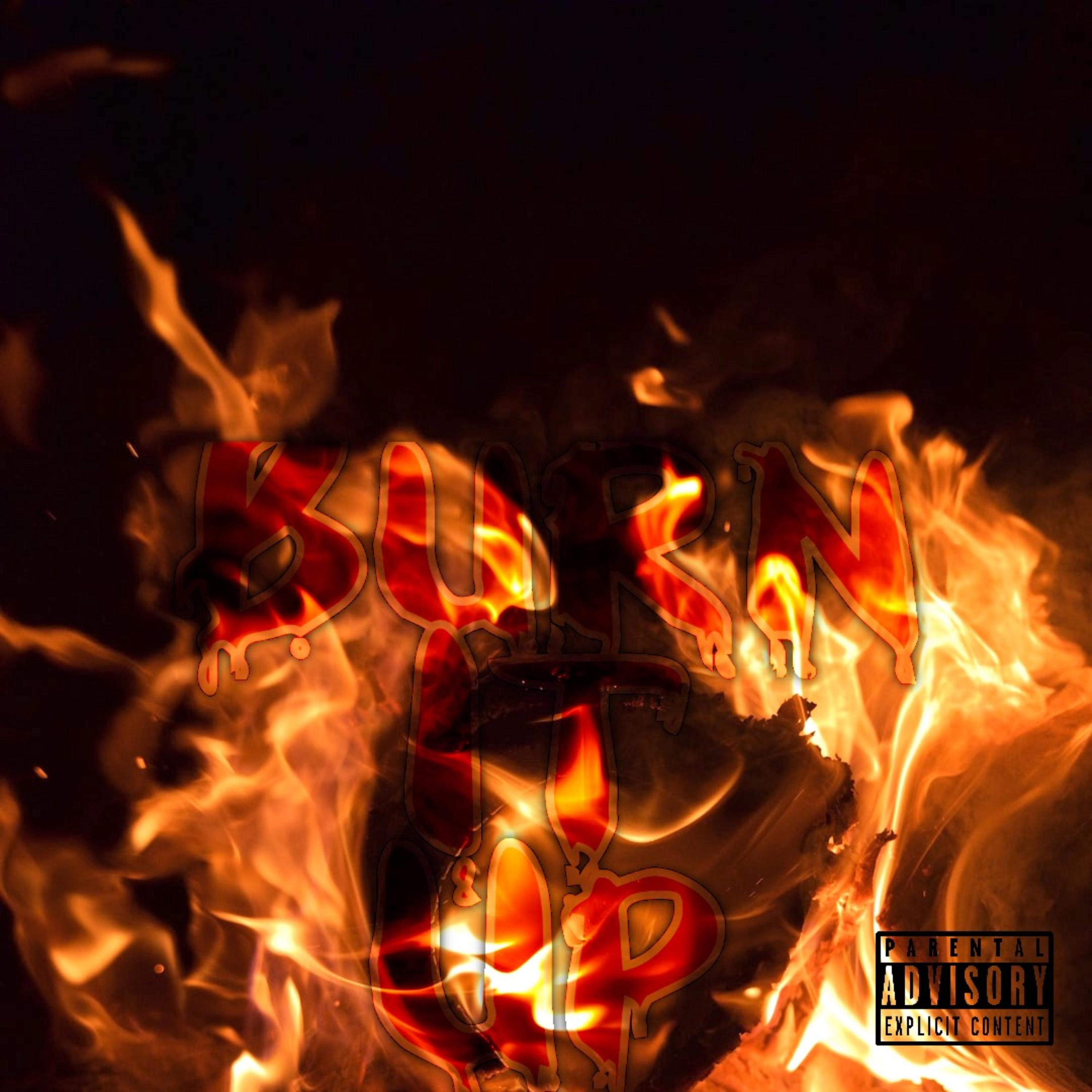 Burn It Up artwork