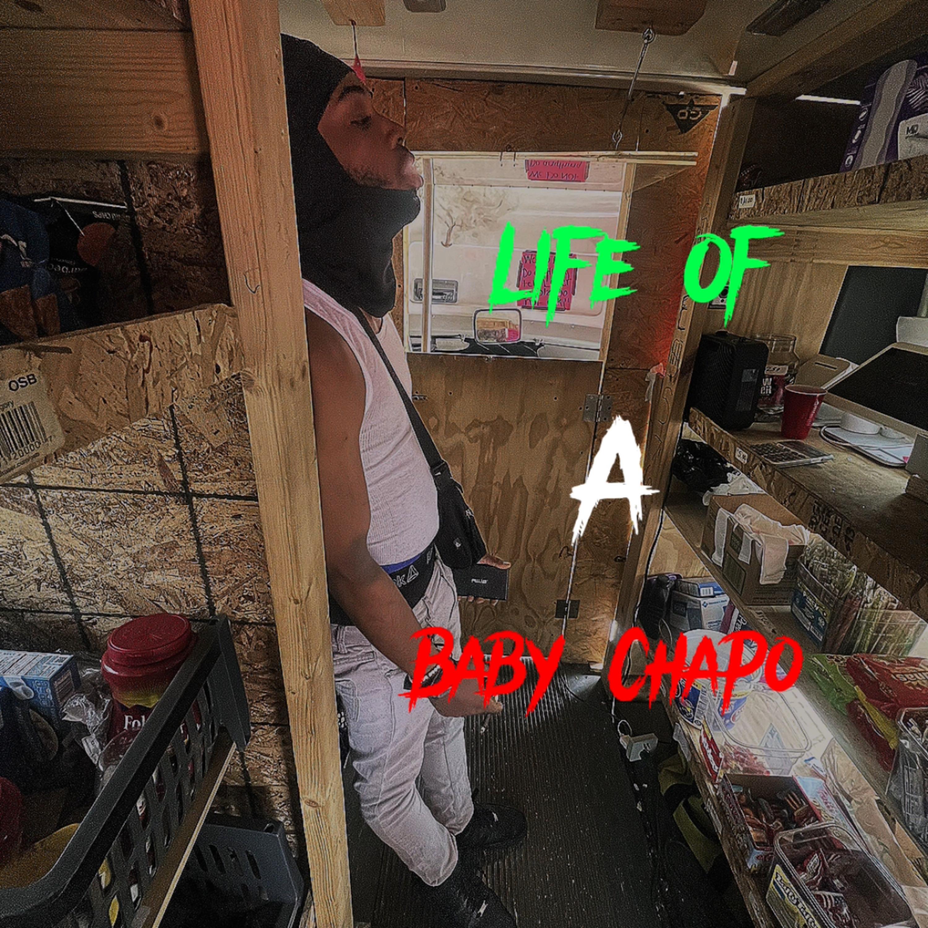 Life Of A Baby Chapo artwork