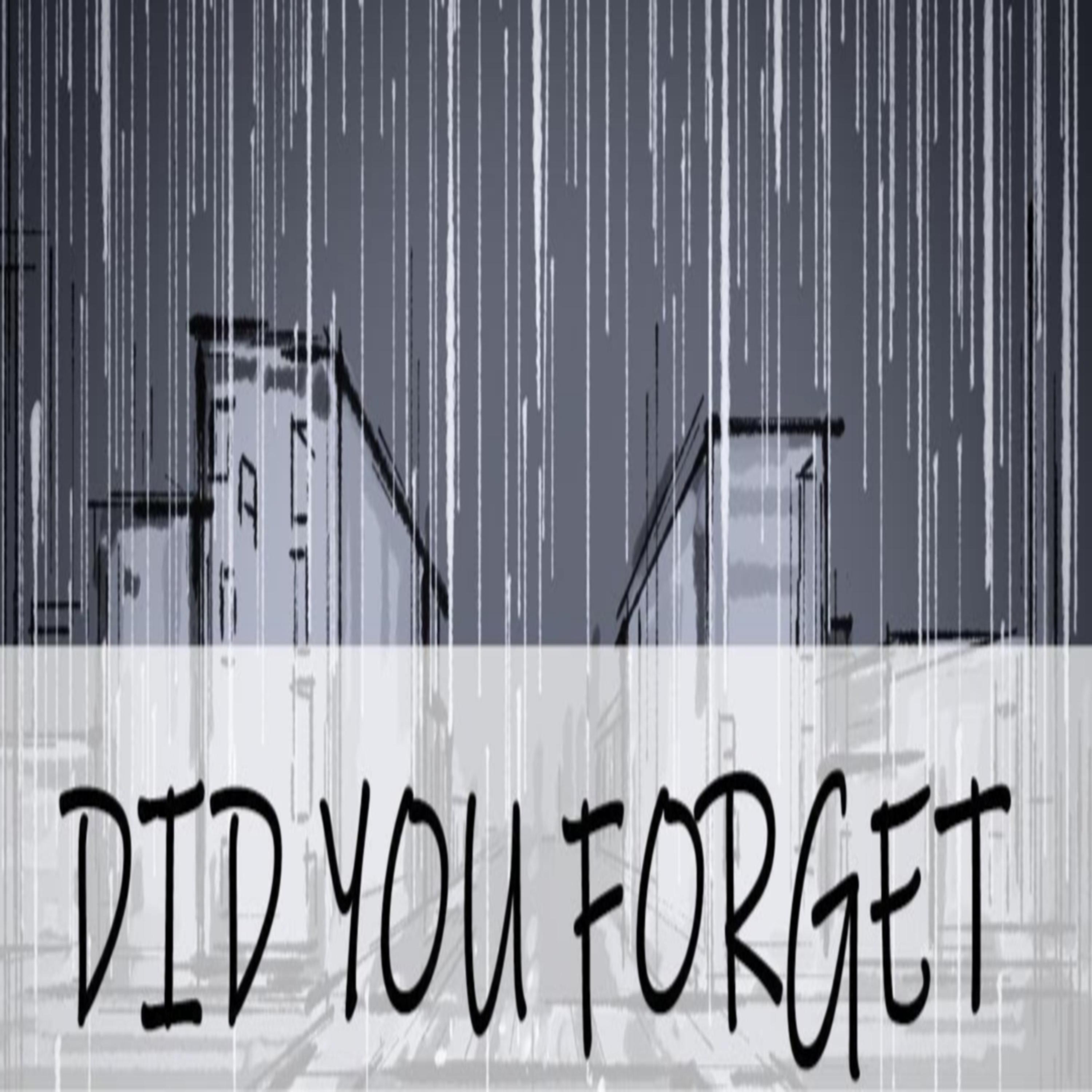 Did You Forget artwork