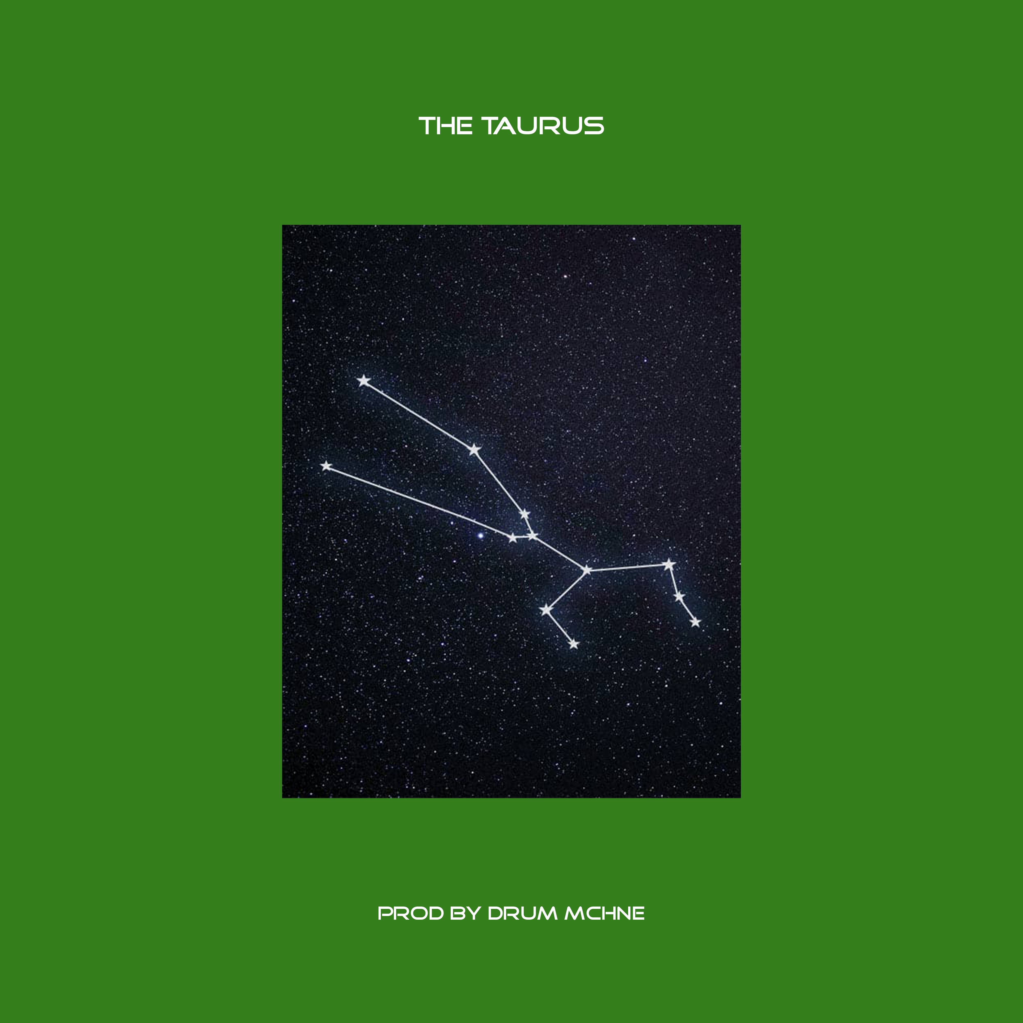 THE TAURUS by Ra Matthews cover art