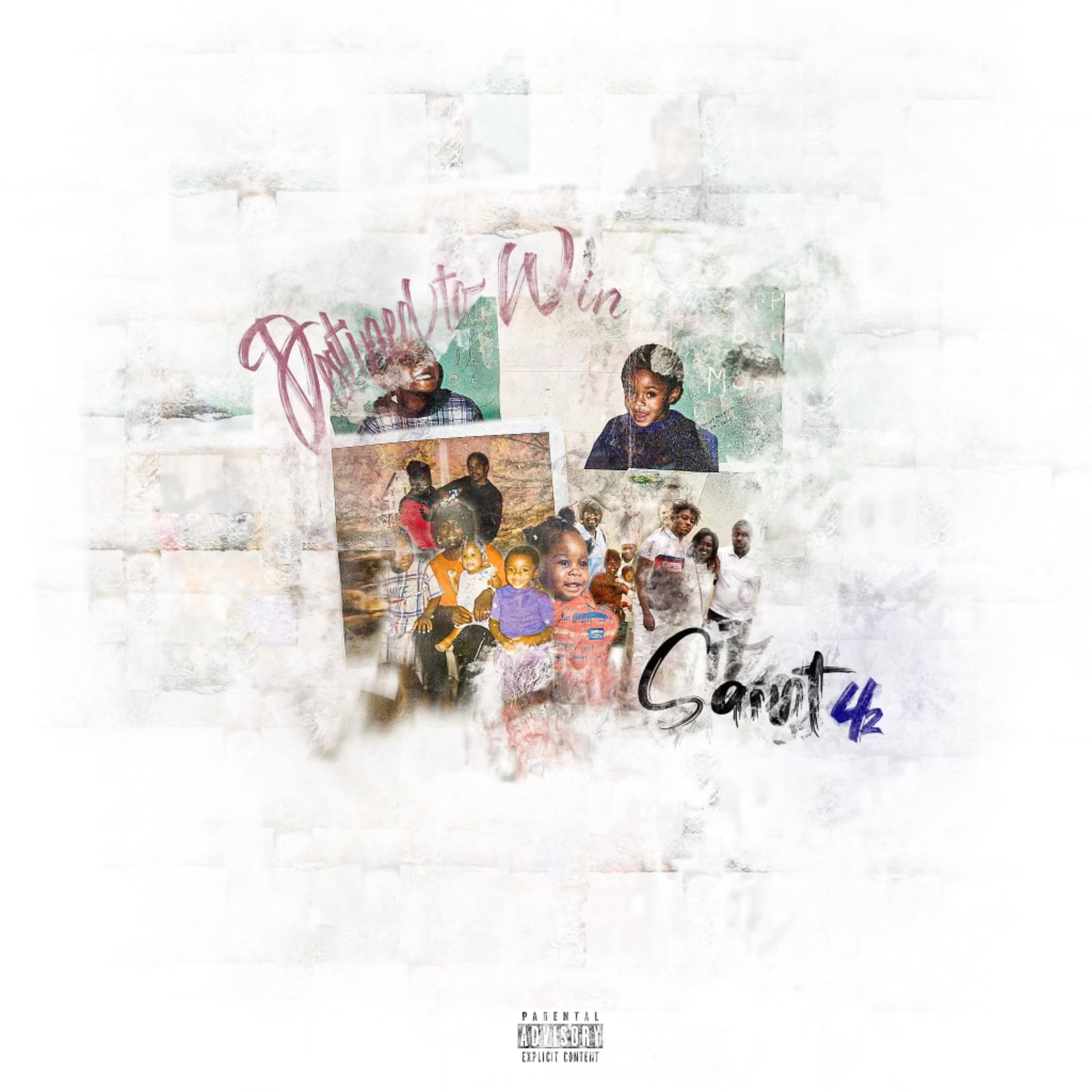 Destined To Win artwork