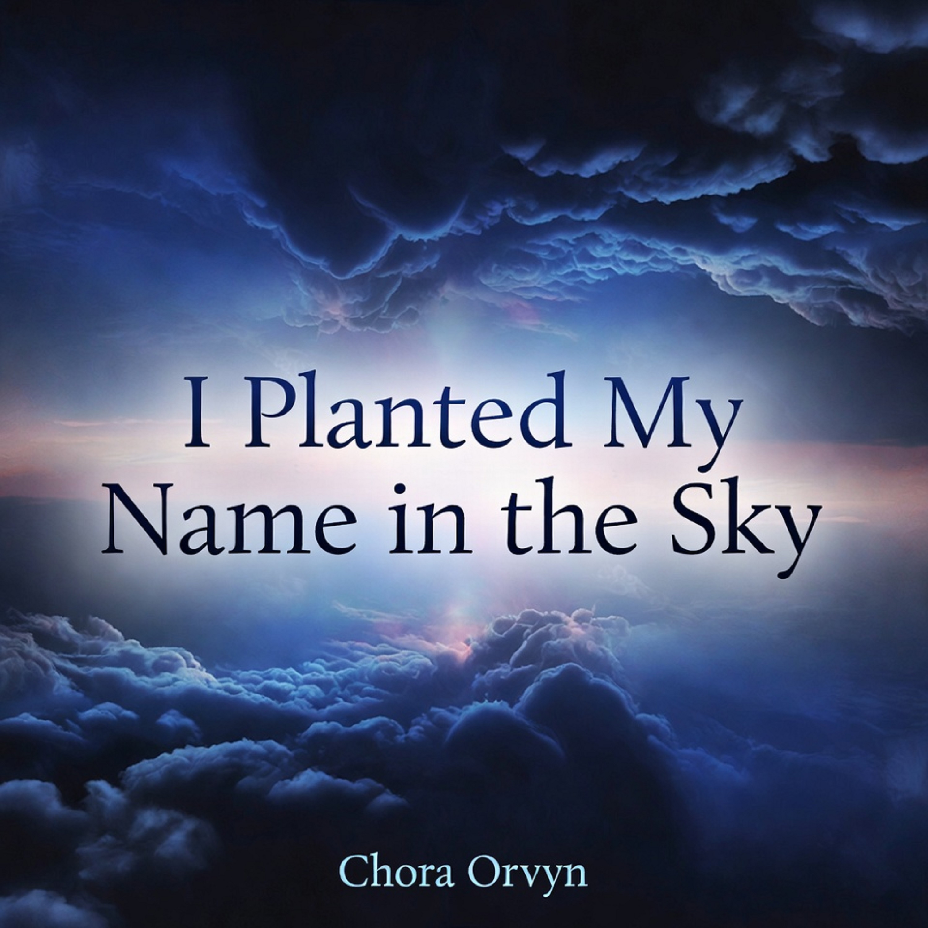 I Planted My Name in the Sky artwork
