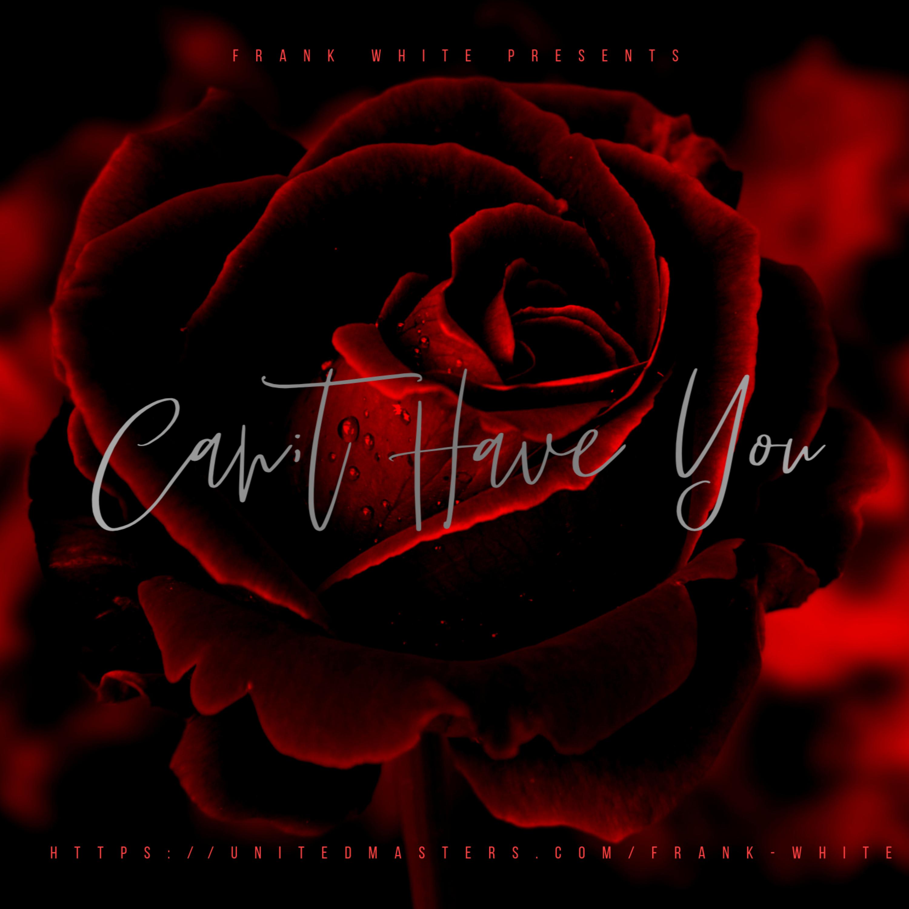 Can't Have You artwork