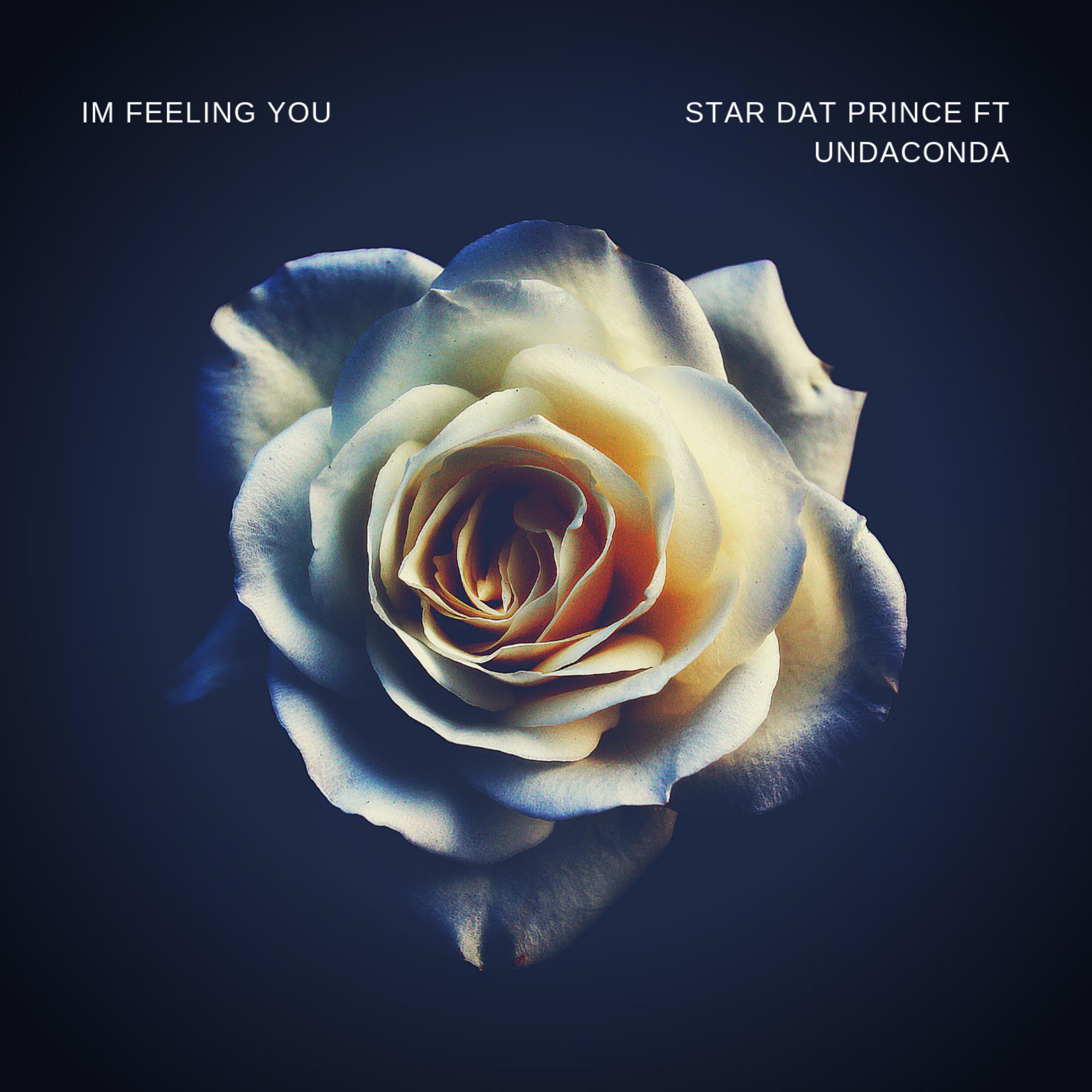 Im Feeling You artwork