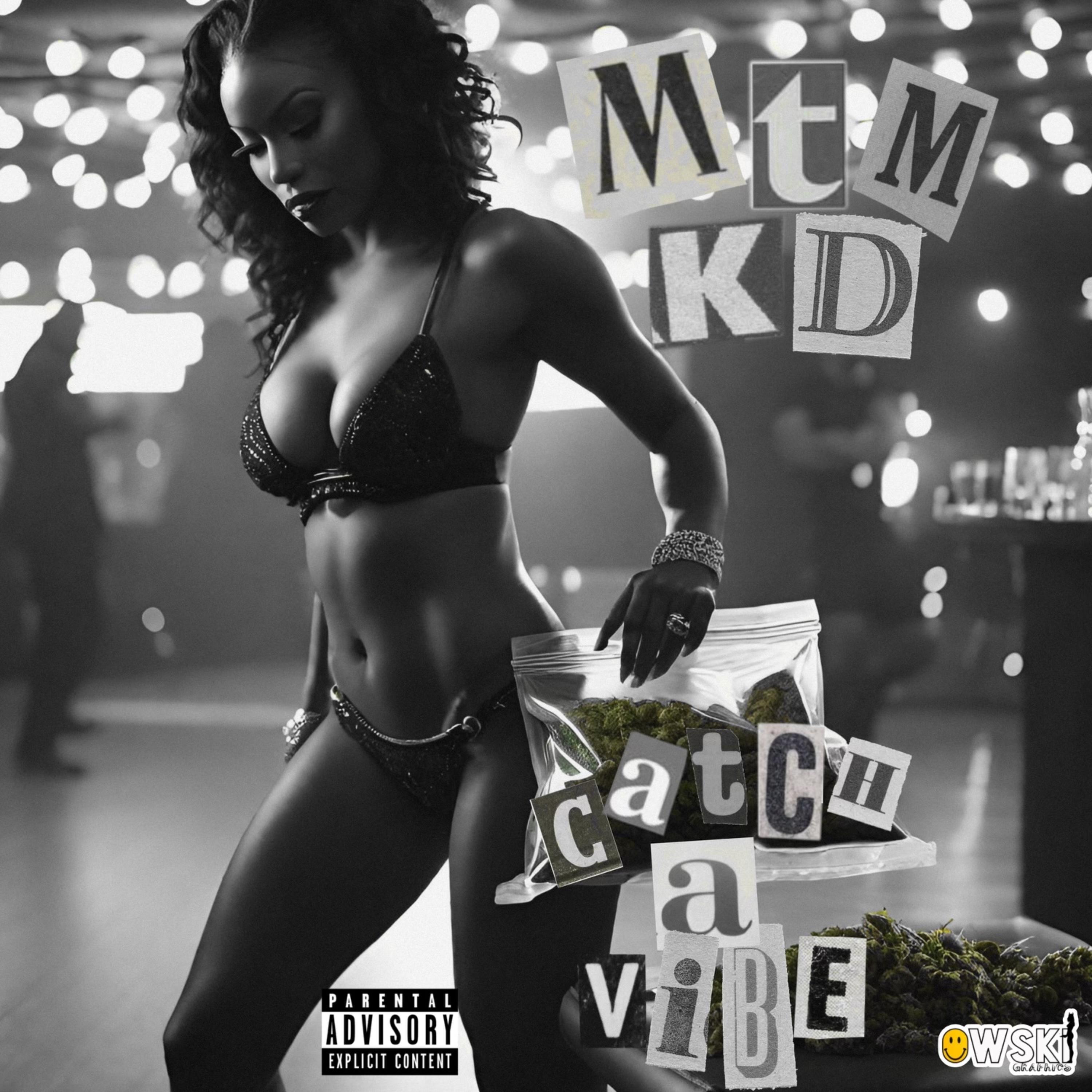 Catch A Vibe artwork