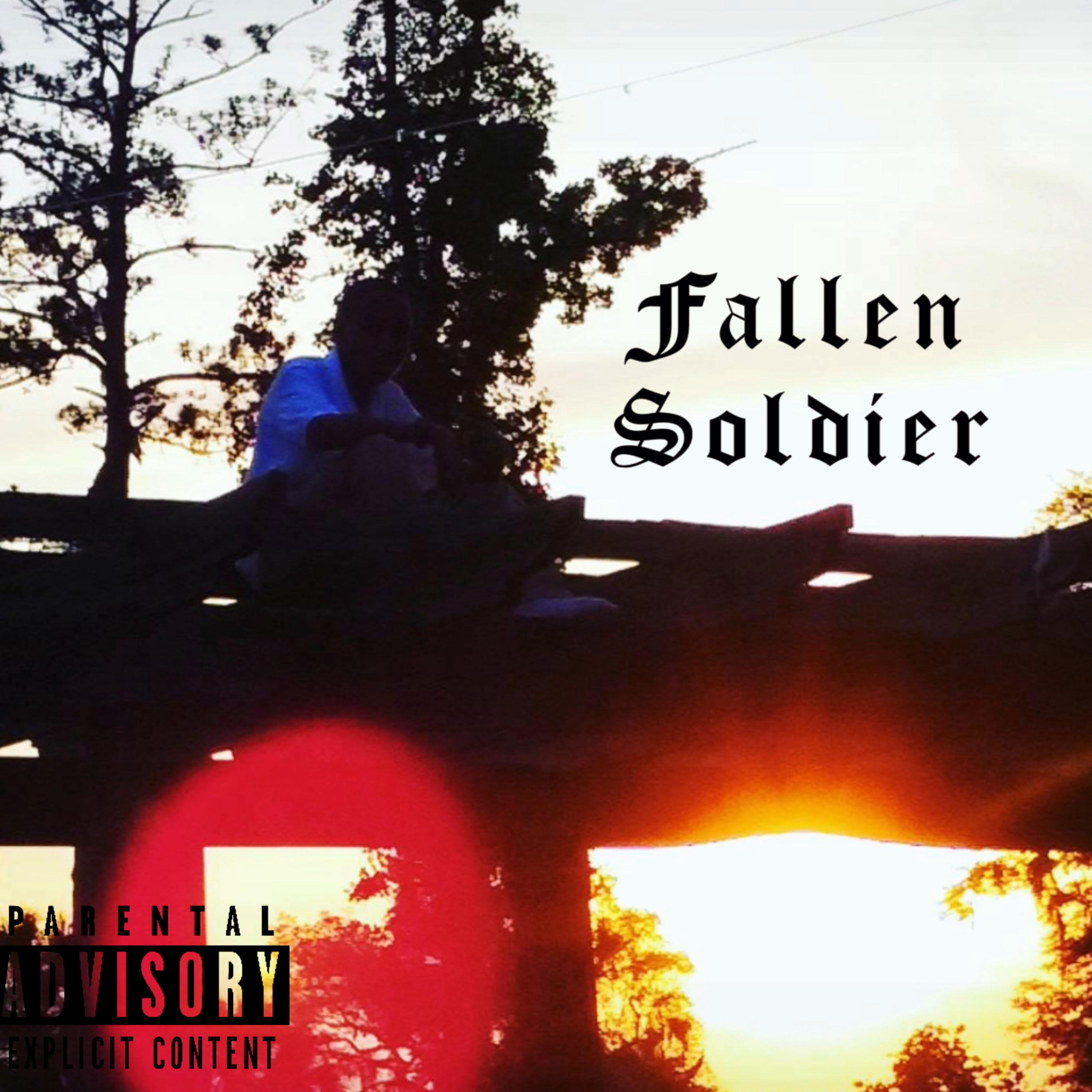 Fallen Soldier artwork