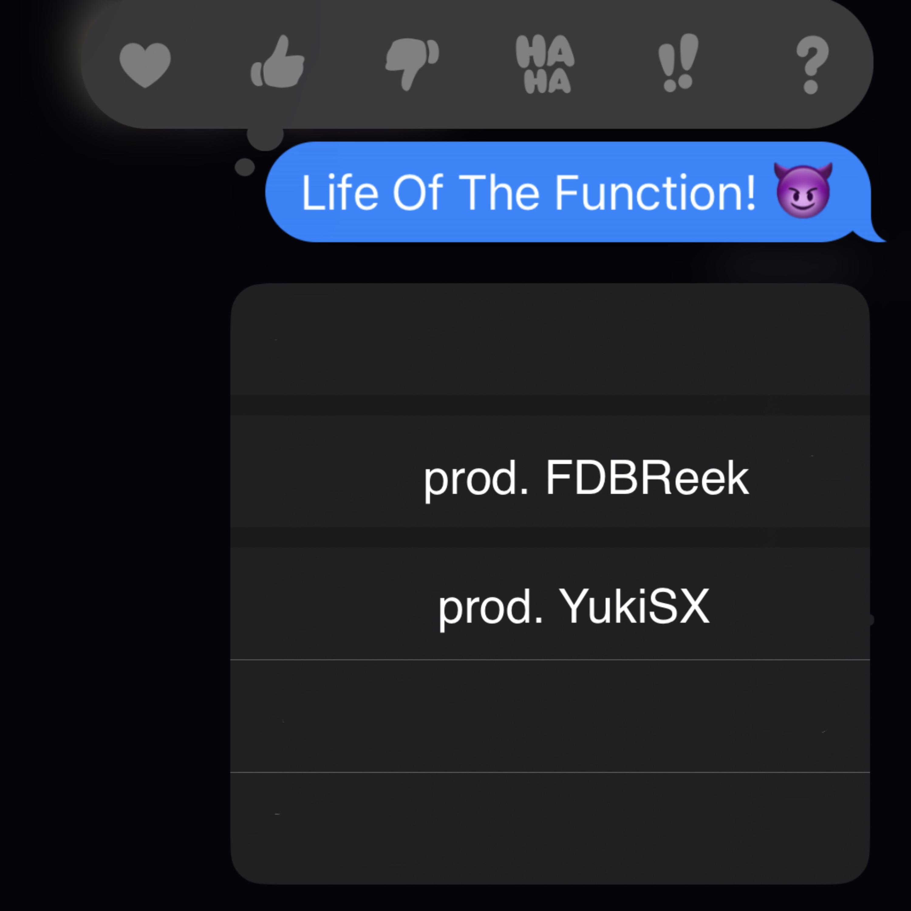 Life Of The Function by 4solid cover art